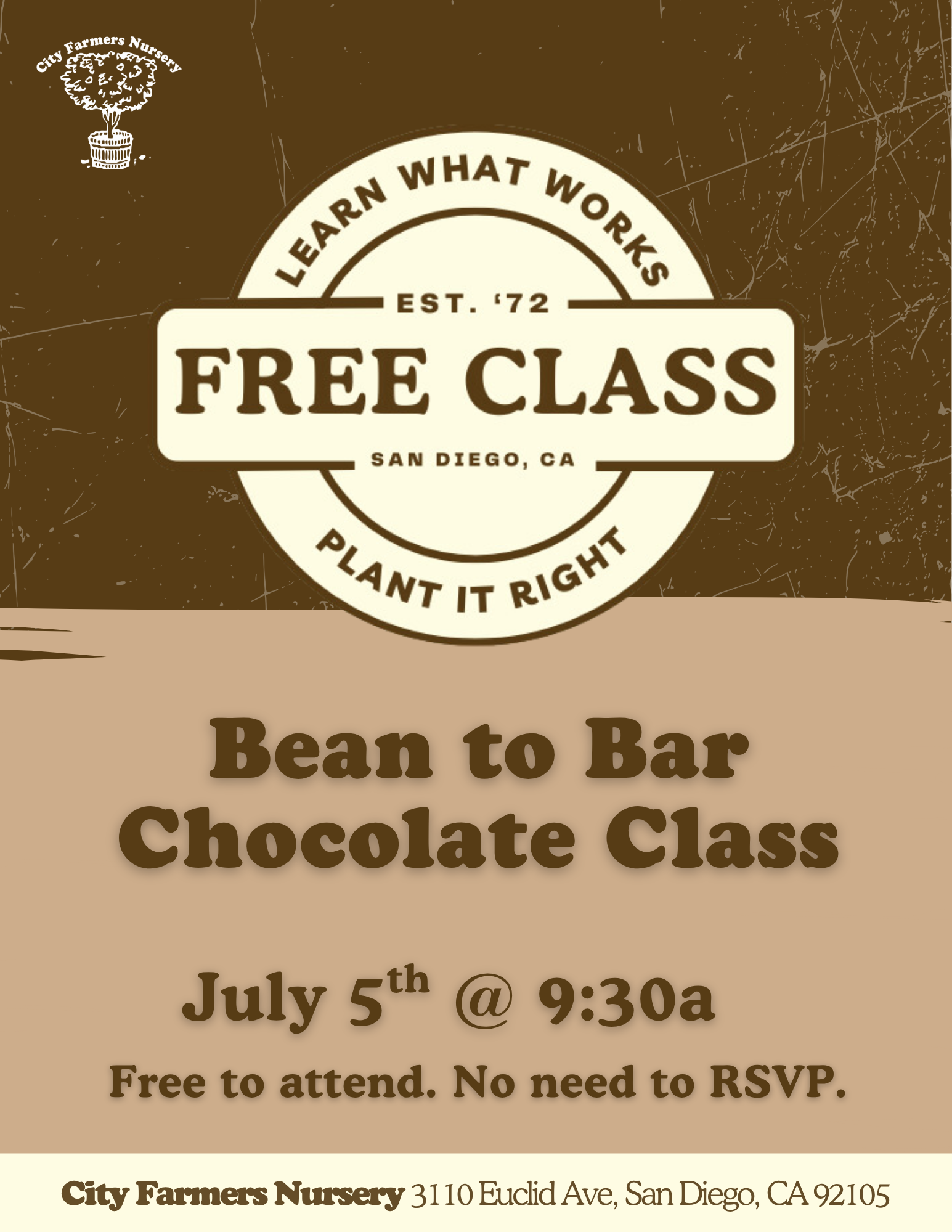 Bean to Bar Chocolate Class 🫘🍫