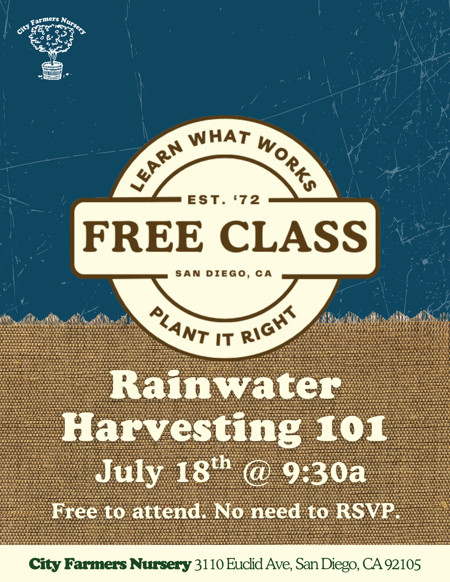 Rainwater Harvesting 101