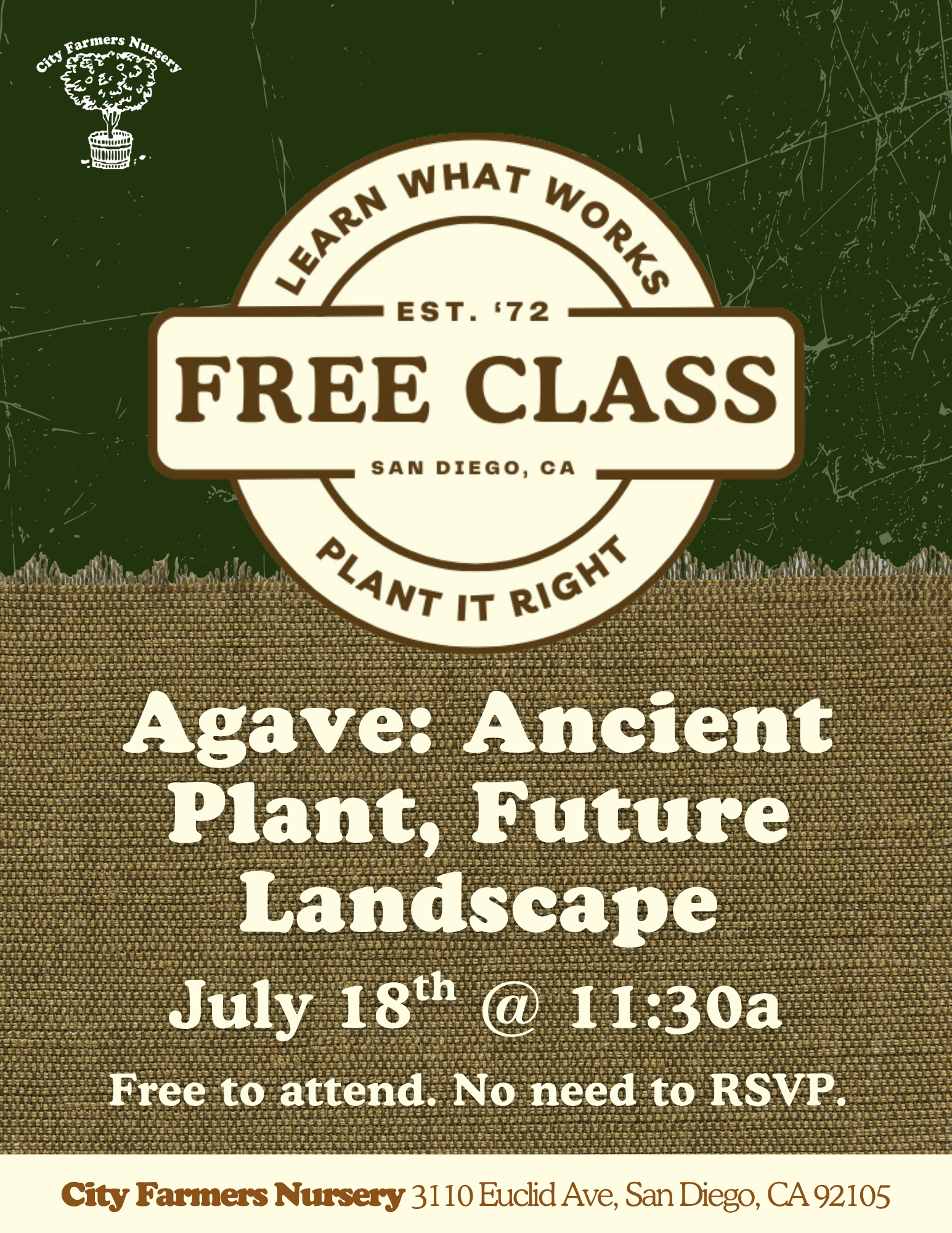 Agave: Ancient Plant, Future Landscape 
