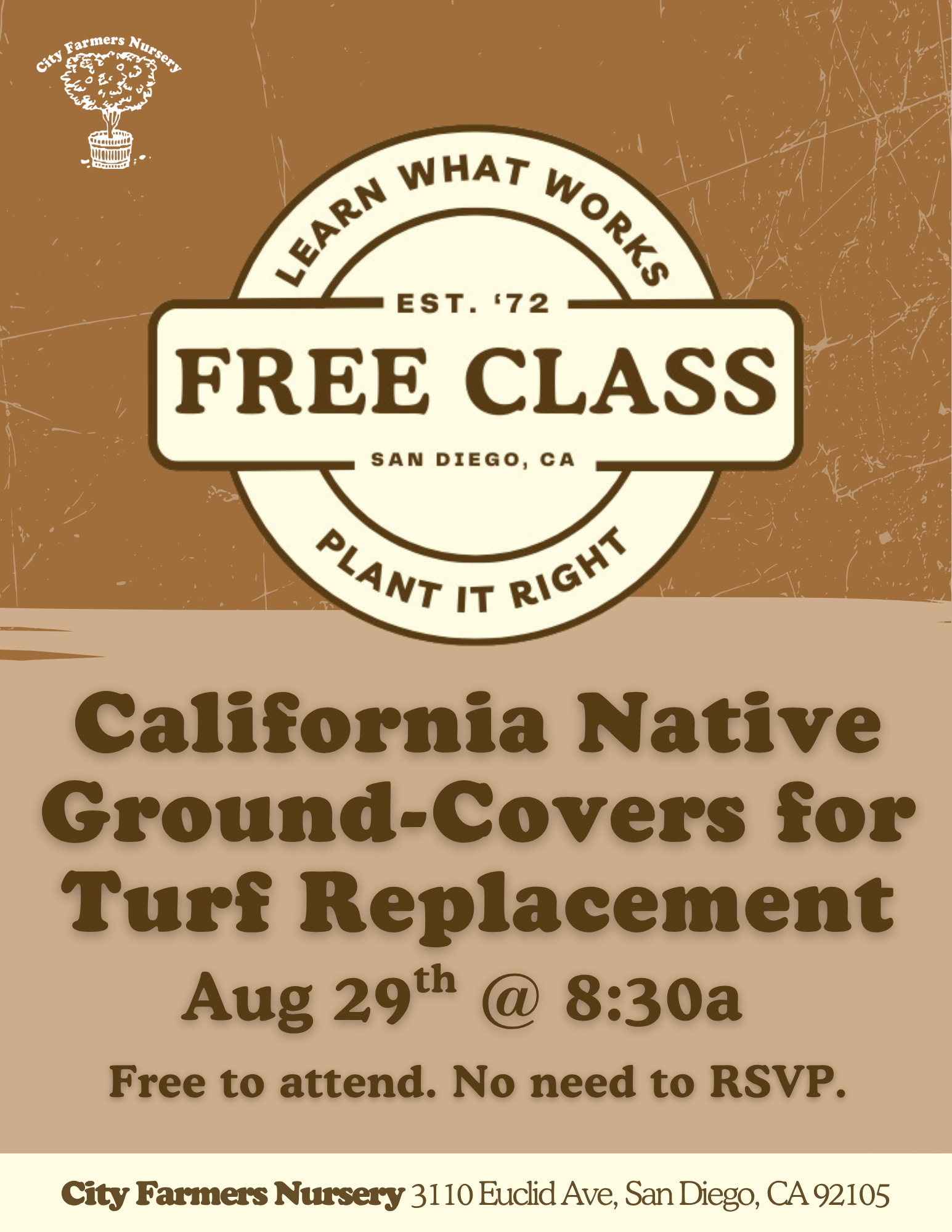 California Native Ground-Covers for Turf Replacement