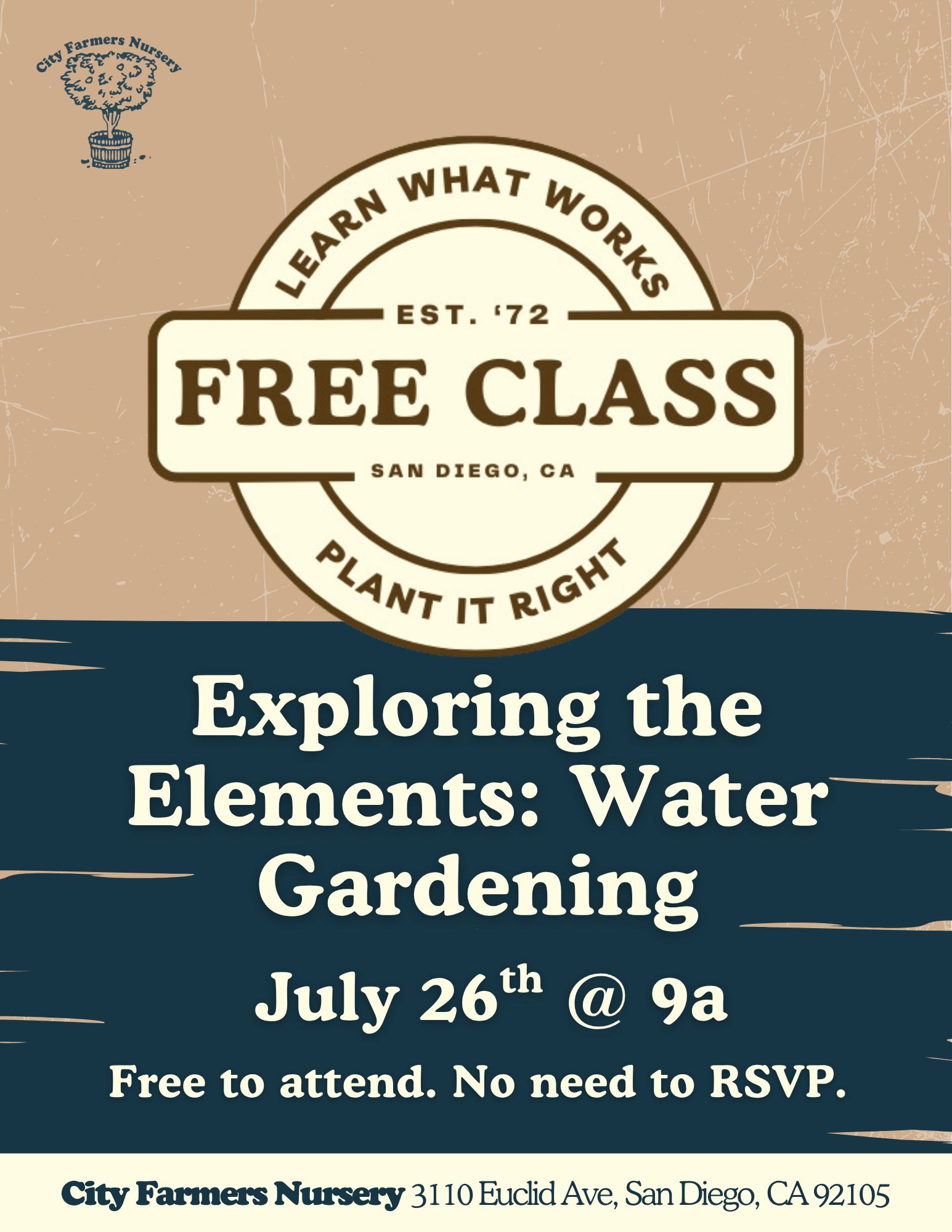 Exploring the Elements: Water Gardening