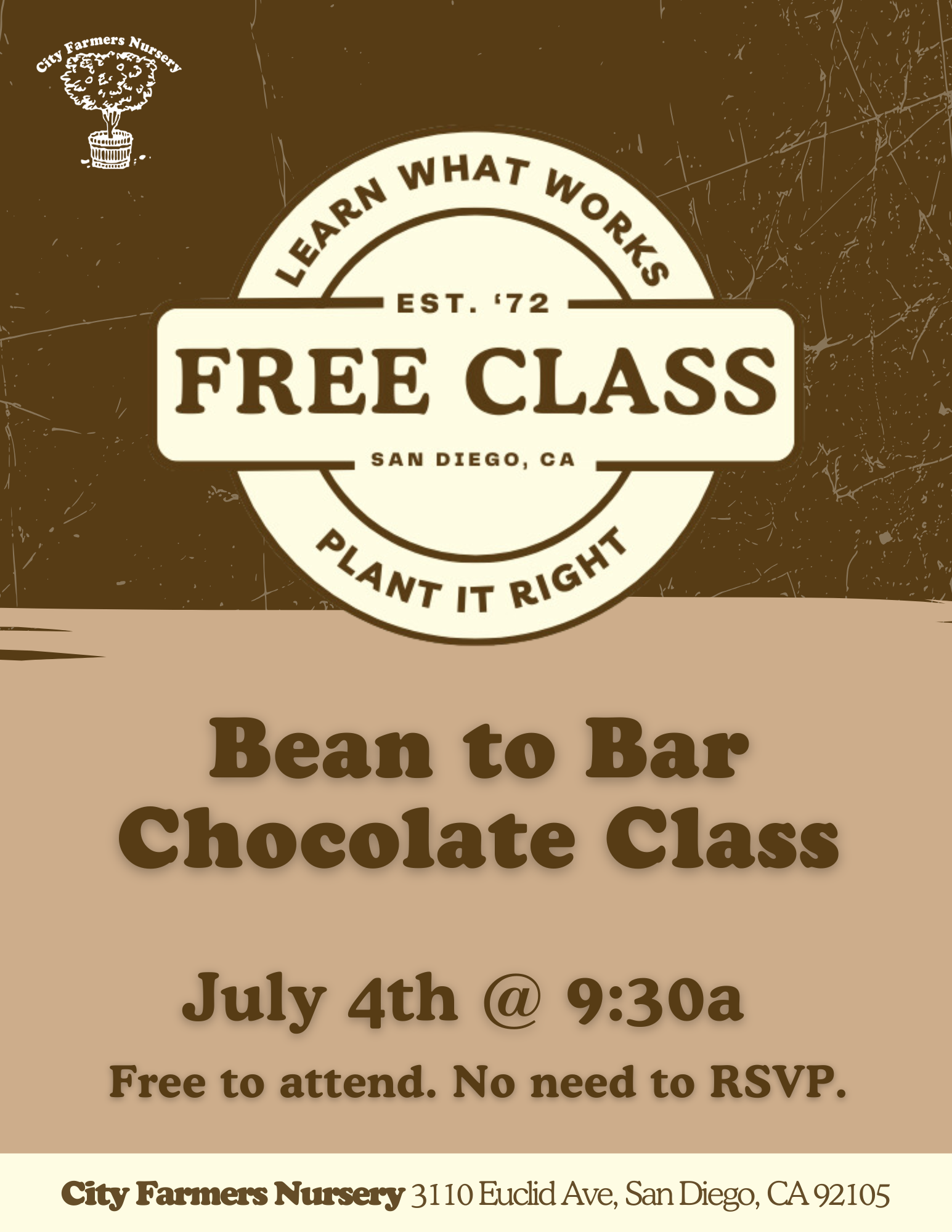Bean to Bar Chocolate Class 🫘🍫