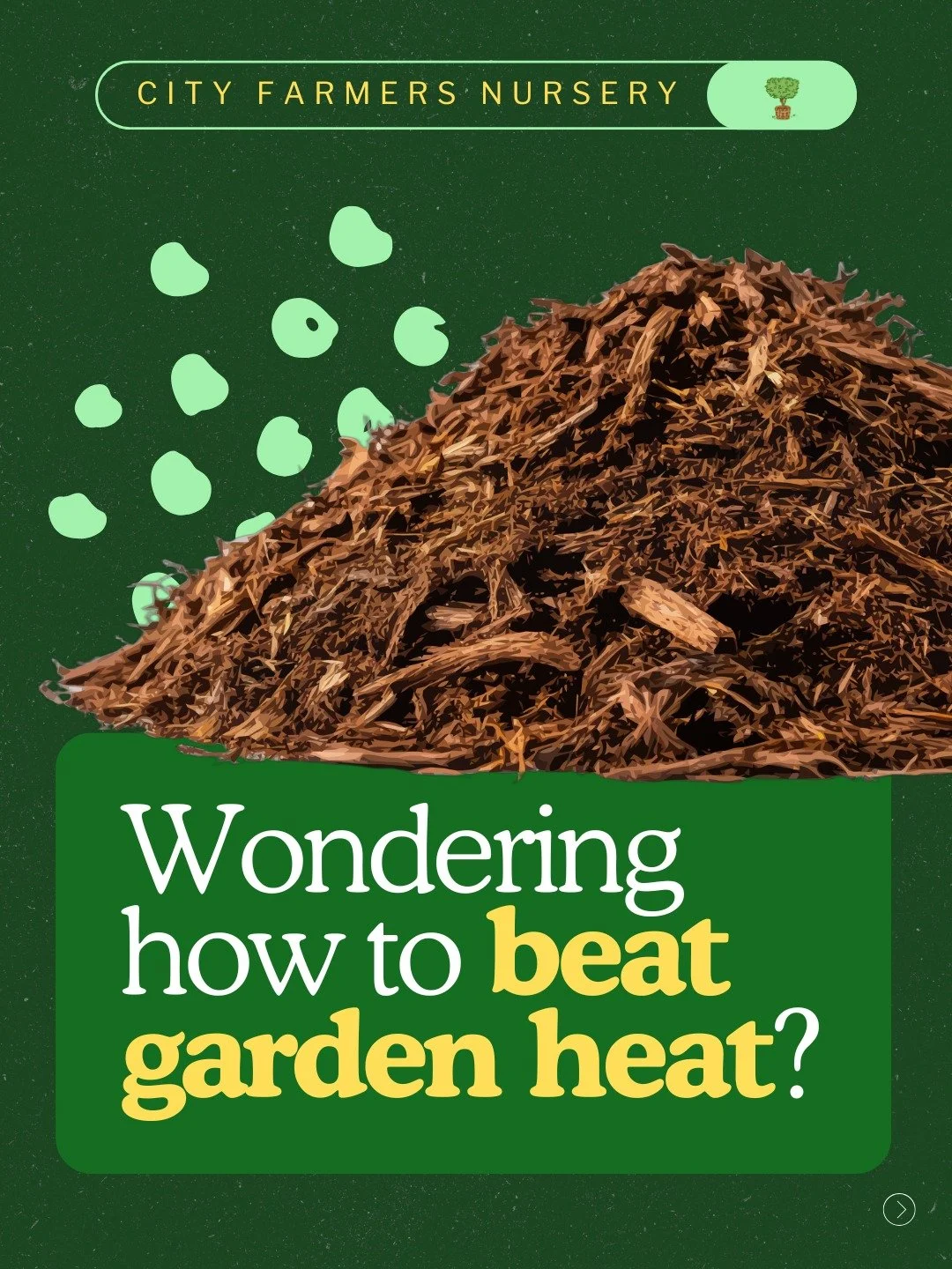 What's the number one thing killing your garden in July? It's not the heat. It's what the heat is doing to your soil. 🌡️

Moisture loss underground is the real summer villain. The fix? Mulch.
Here's the breakdown:

Straw is budget-friendly, great ai