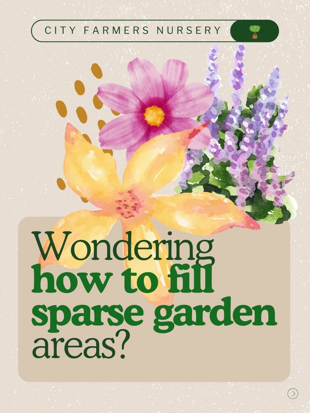 Starting a garden and already stressed about soil costs? Here's the truth nobody tells you. 🌱

Most of the ground you're standing on is already closer to good garden soil than you think. A sandy loam base is actually what you're going for. Add the r