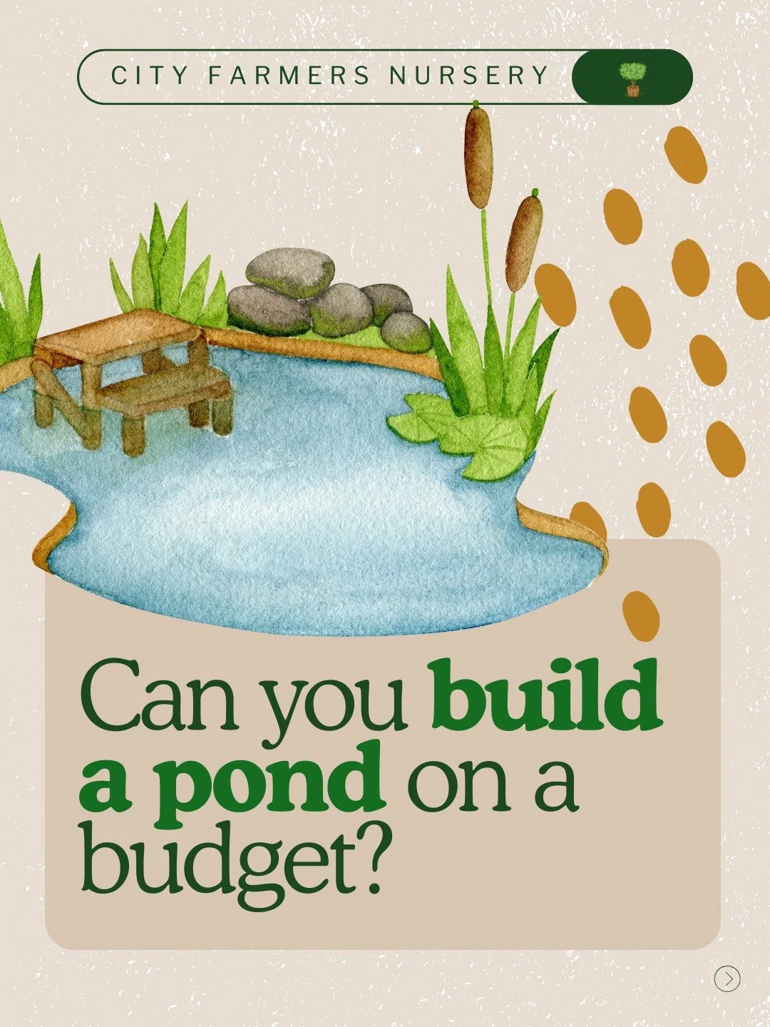 A water garden might seem to luxurious... until you realize you might already have everything you need. 💧

The most expensive part of a pond setup is the vessel. And honestly? An old bathtub, a deep saucepan, or a ceramic pot you have been meaning t