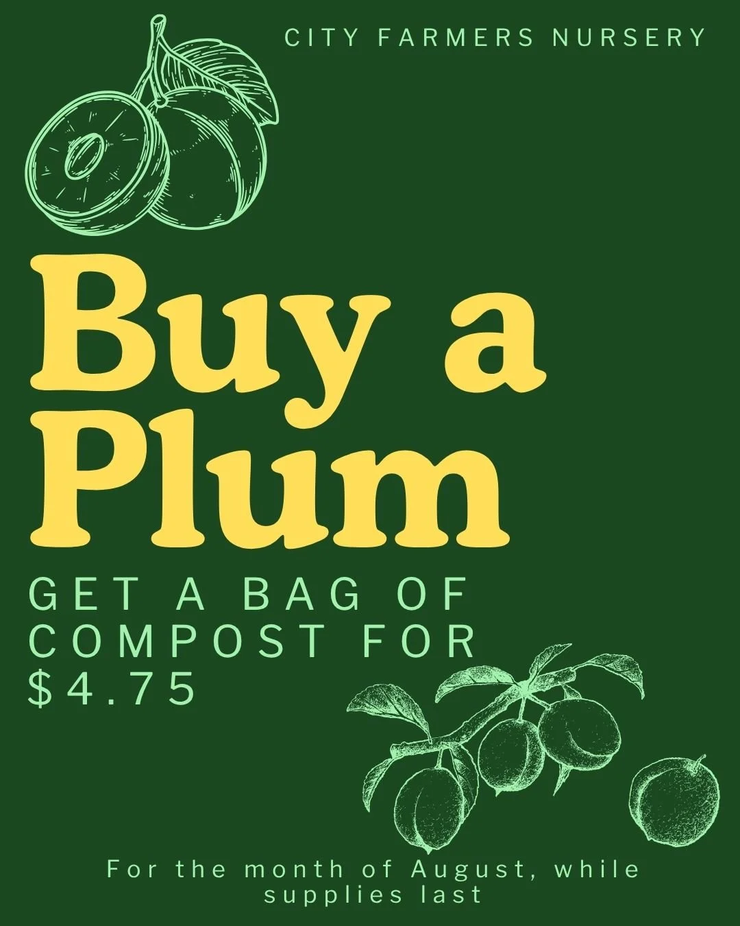 Our "Now and Later" August Plum Deal