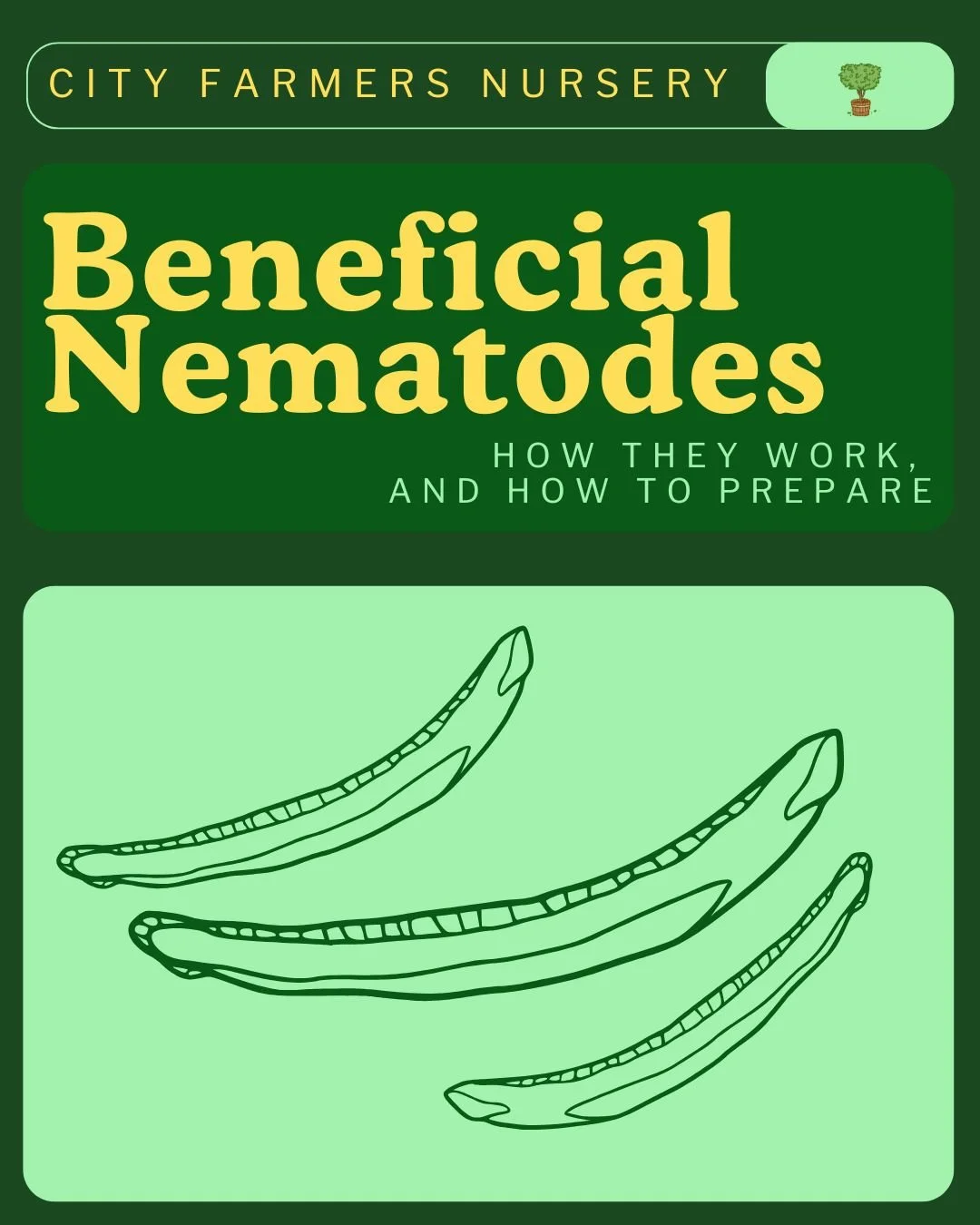 Beneficial Nematodes: Tiny Predators That Do the Pest Control Work for You