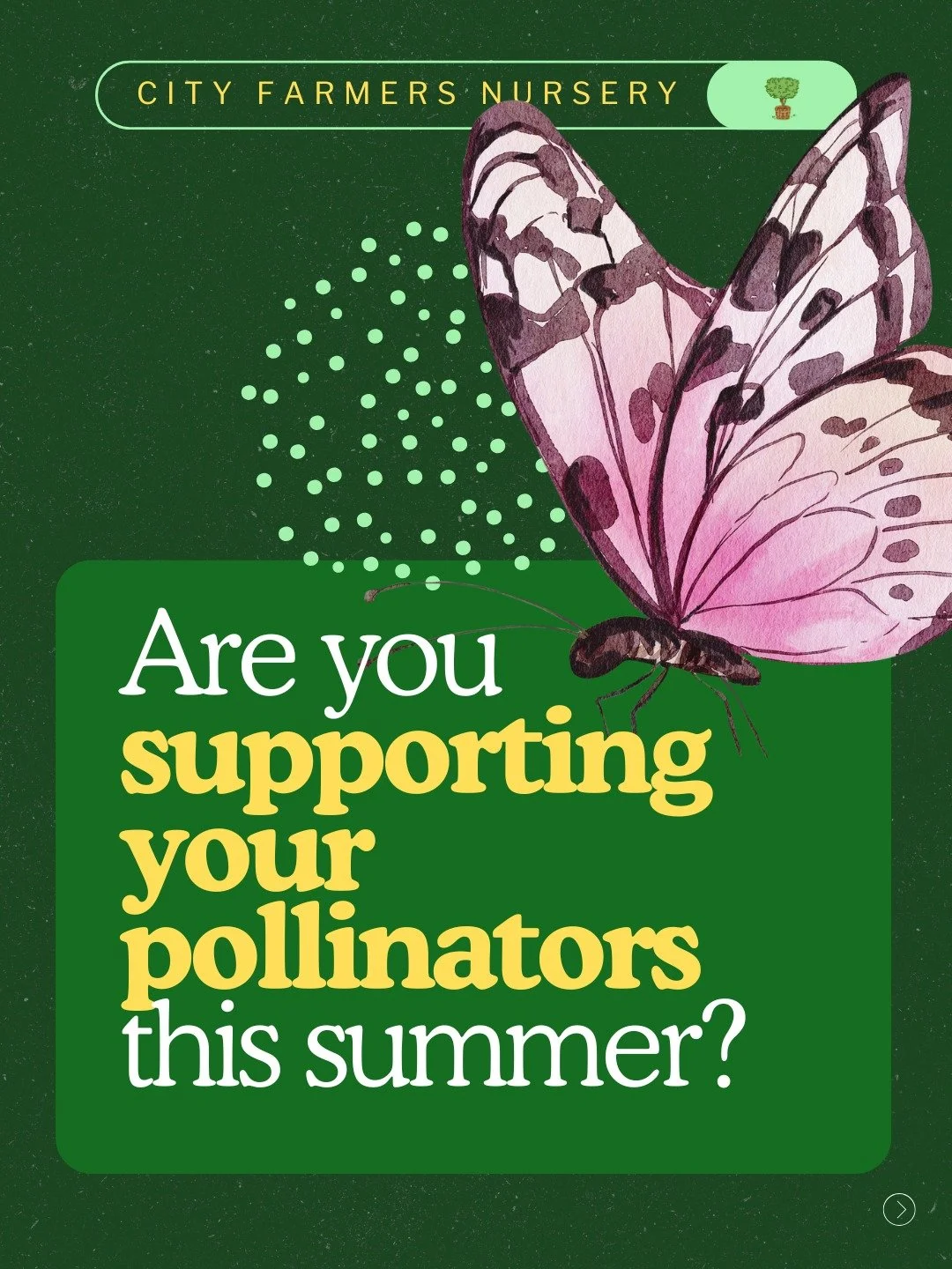 Want to know the easiest way to get more fruit, more veggies, and a more beautiful yard? Take care of your pollinators. 🐝

August is when they need us most. Heat is peaking, blooms are slowing down, and the little creatures doing all the work in you