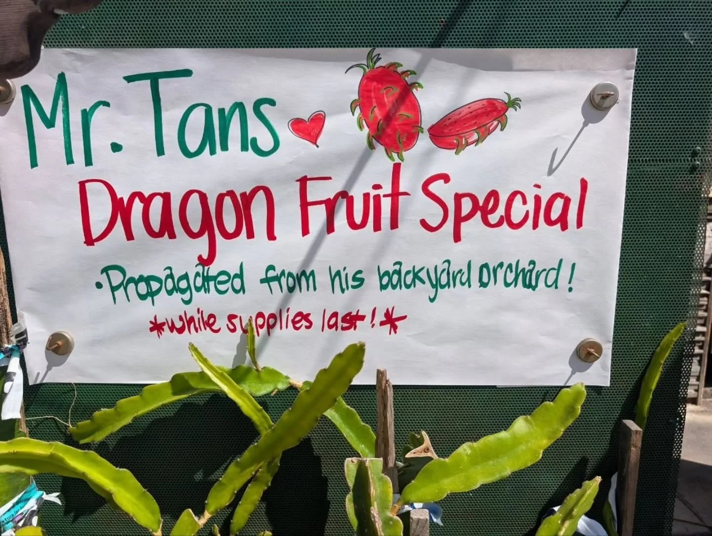 Earlier this year, our City Heights neighbor Mr. Tan let us tour his yard. We've since dropped off his requested propagation supplies, and he's established a variety to bring to you!

$8.99/1 gal

Come enjoy established, rooted cuttings right from th