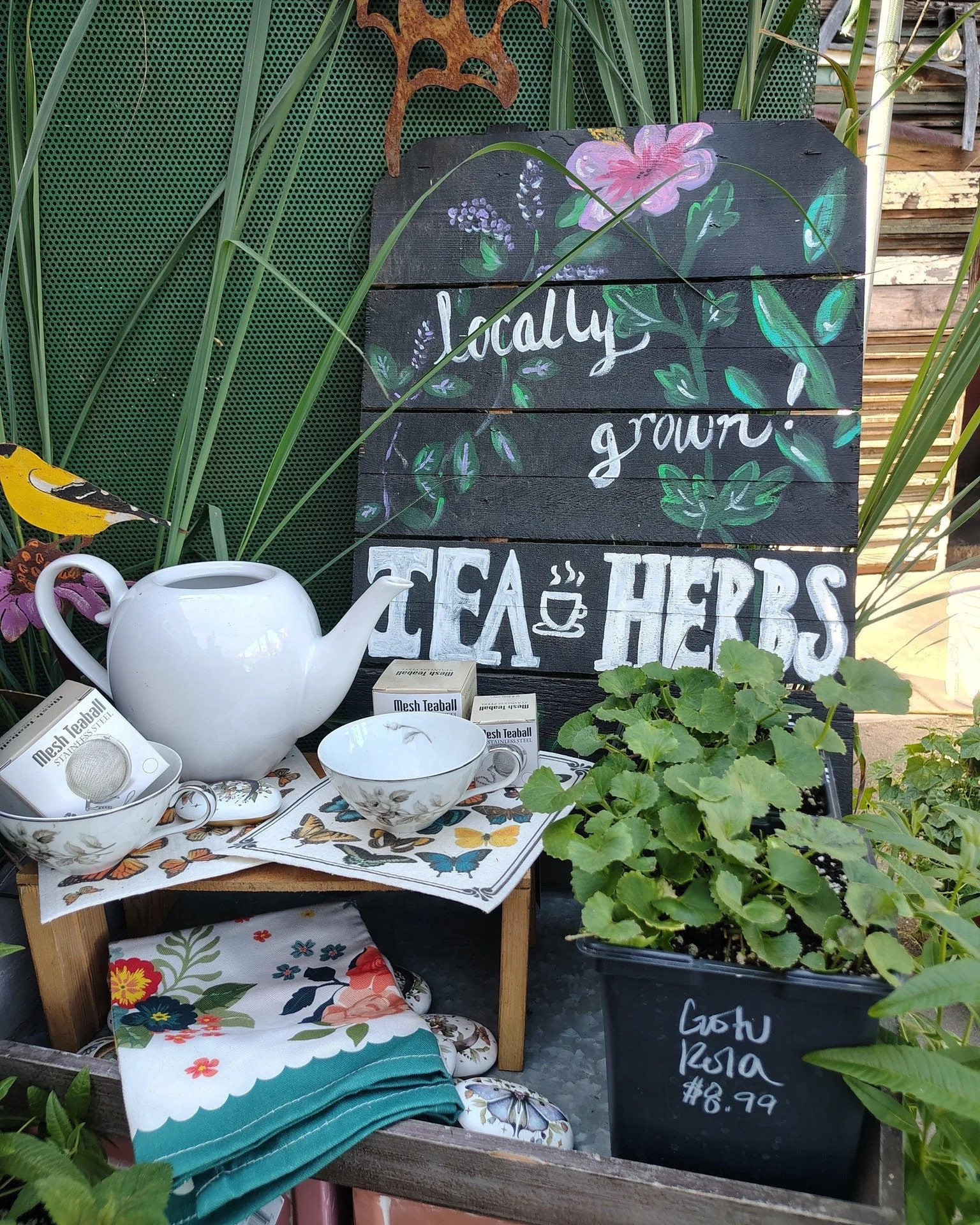 🌿 It's tea garden season, grown on-site with picks that come back year after year.

🌎  It's a whole flavor world you can grow yourself. 

Scroll to see our selection: our grow team started months ago, ready for a slow-down summer trend that's perfe