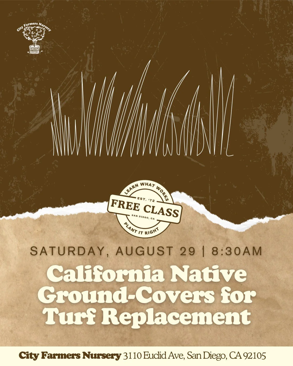 Free class - Saturday at 8:30a! Looking to replace your lawn, or making use of yard space? Join us to explore California native ground-covers that provide beauty, benefits, and year-round interest while reducing water use and maintenance.

This class