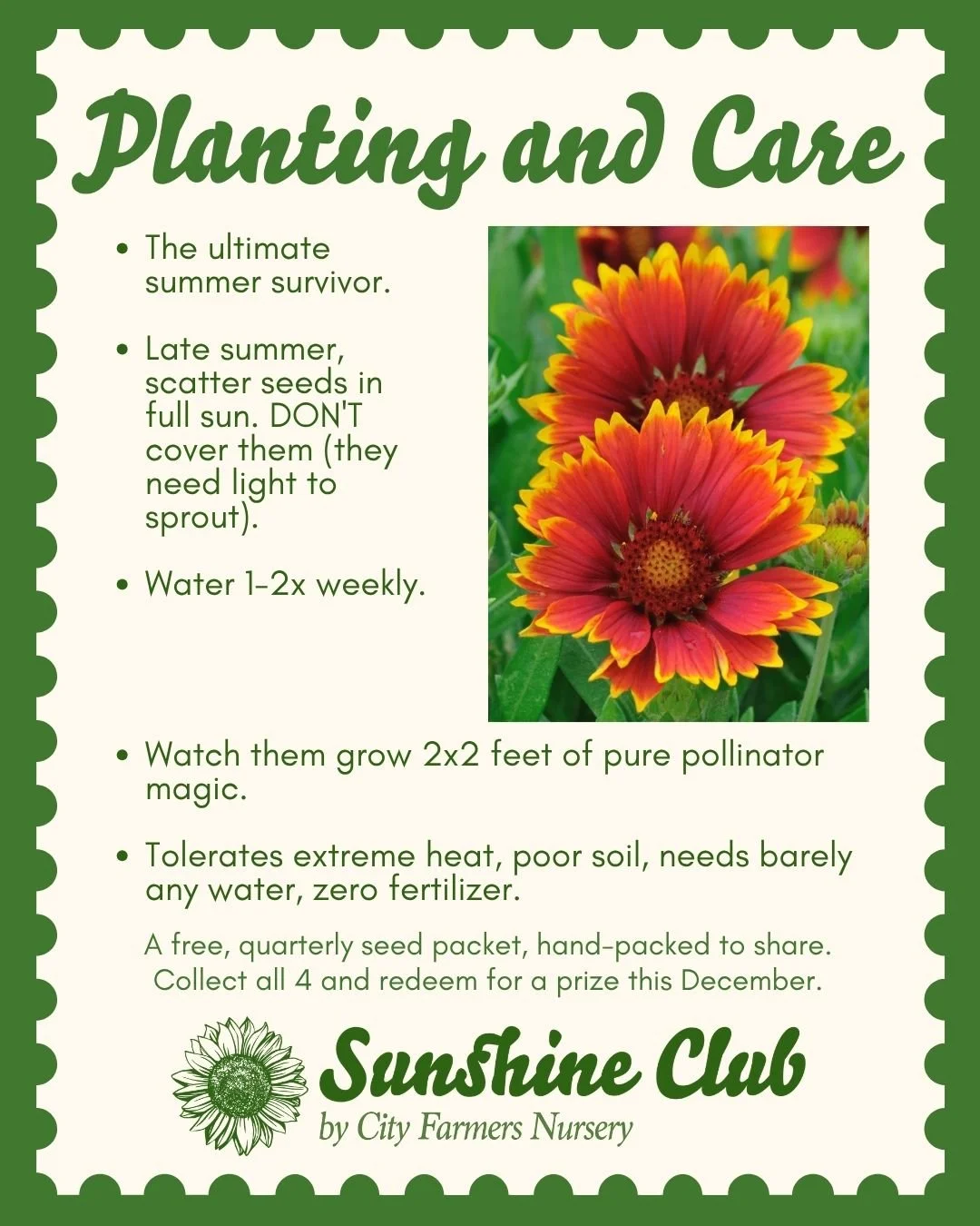 👨&zwj;👩&zwj;👧 Sunshine Club is meant to be shared with the people around you. Bring a friend, a neighbor, or someone who simply needs a reason to get outside and enjoy nature. Stop by together and pick up your free seed packets 🌱

☀️ Planting Gai