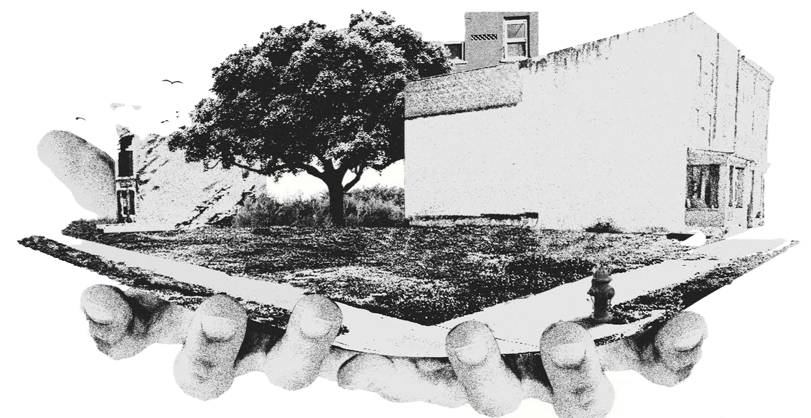 A black and white image of a house with a tree in the front yard, viewed on a computer screen held in someone's hand.