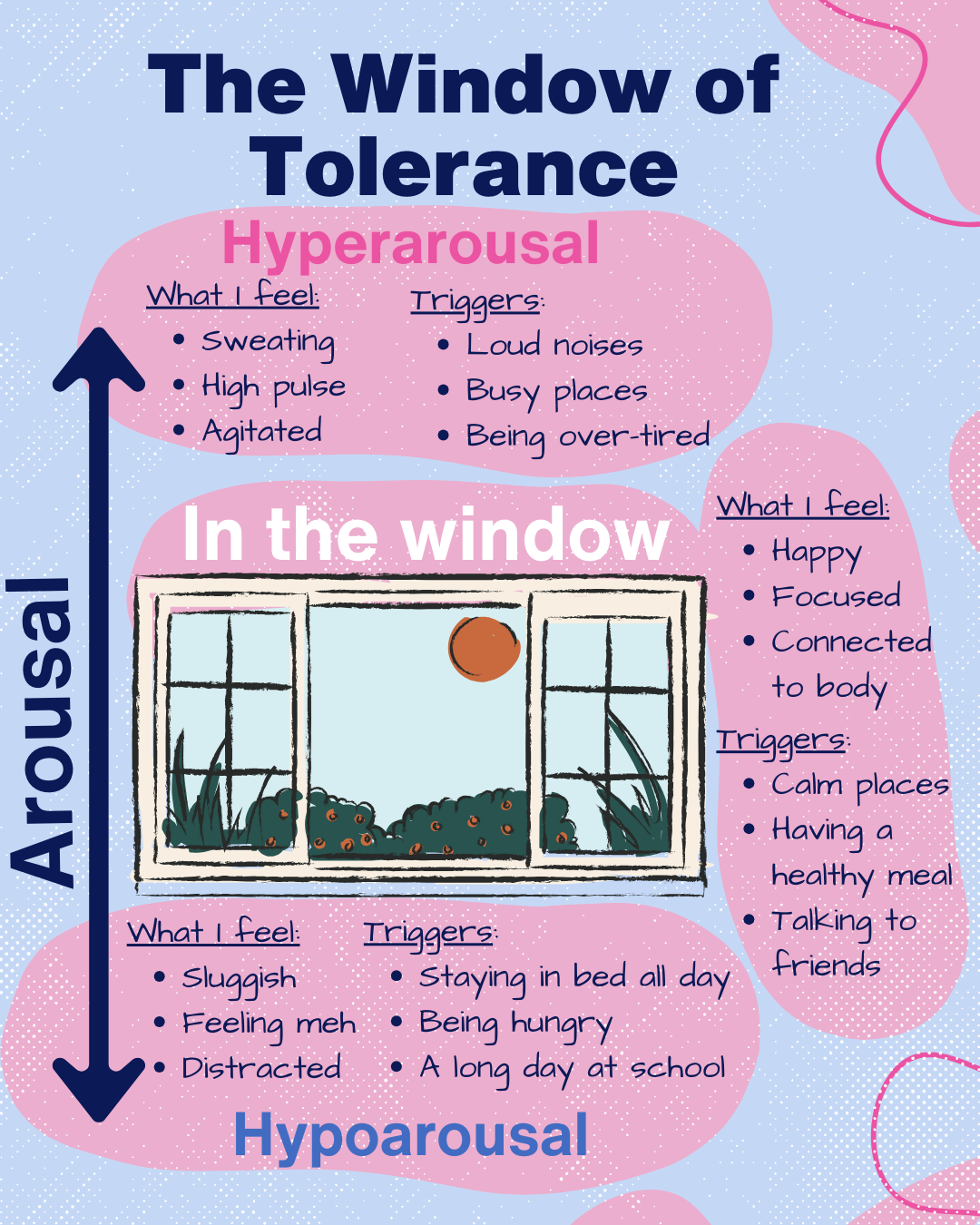 The Window of Tolerance — The Sparrowhawk Practice
