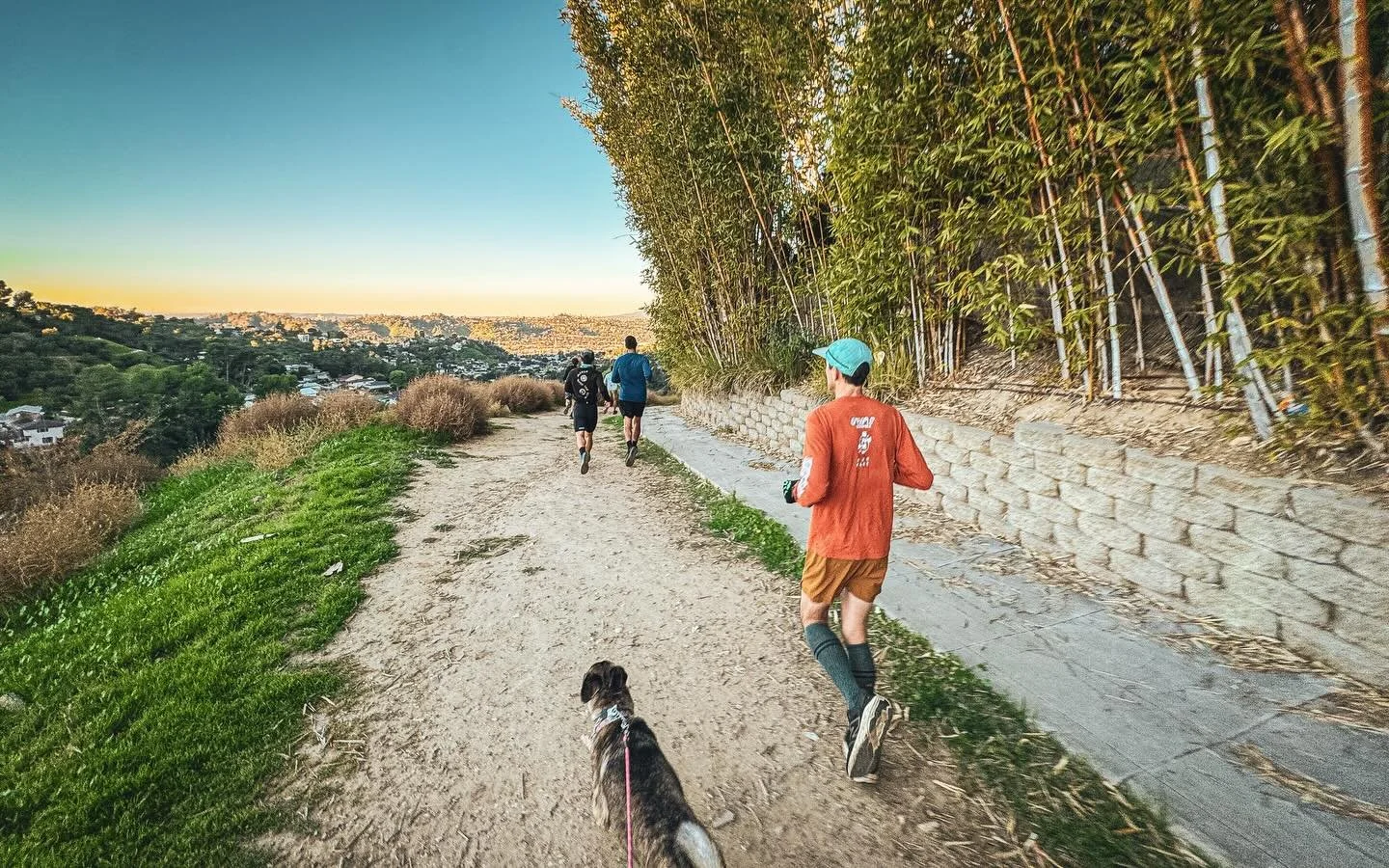 caffeinated morning ritvals striking all the rite chords