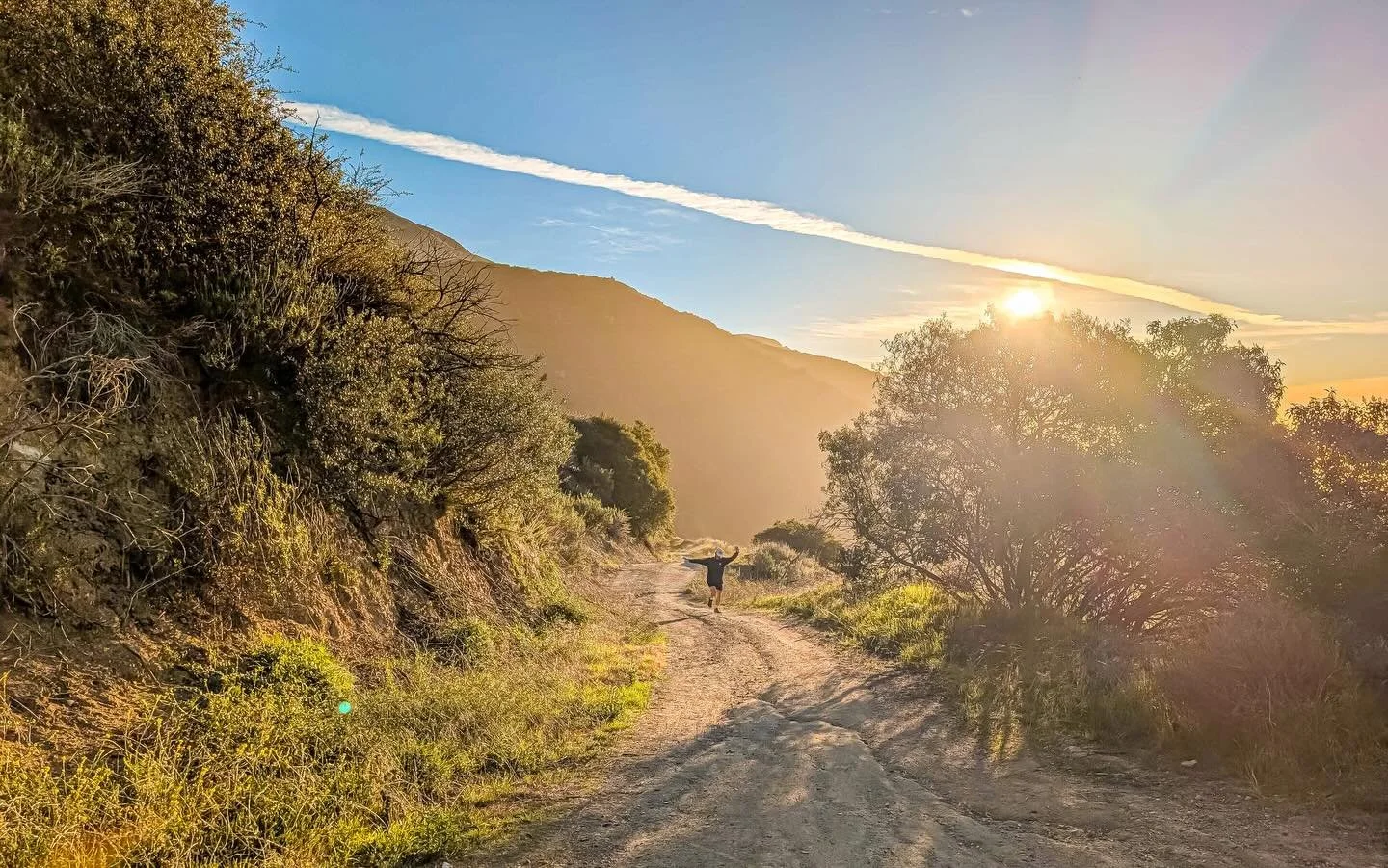 wednesday but make it weird