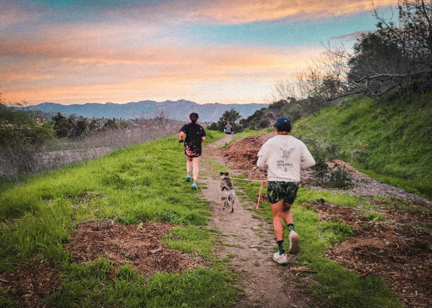 every morning, divine