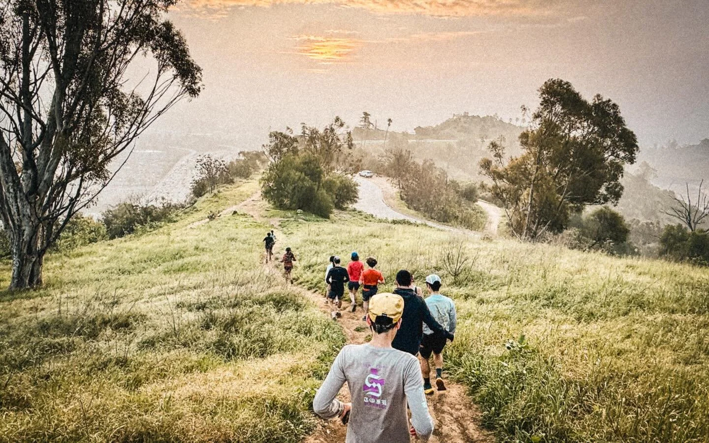 dining on the sunny dime dice lining