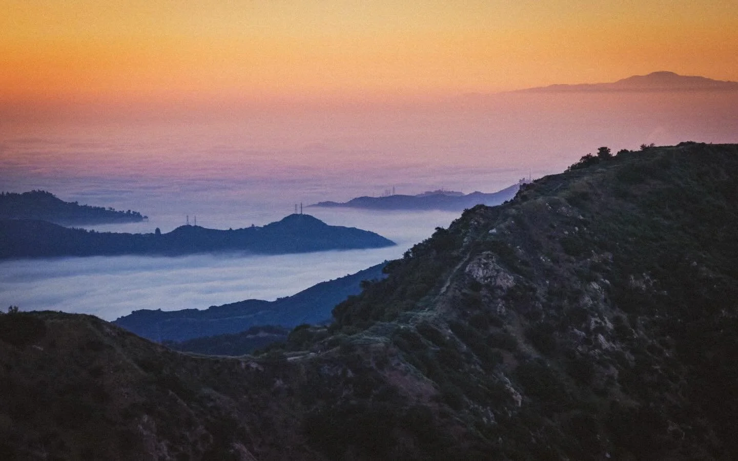 only in backyard dreams