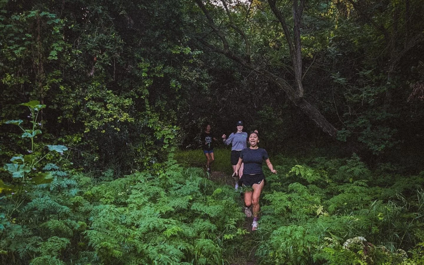 opening 🌞 portvls