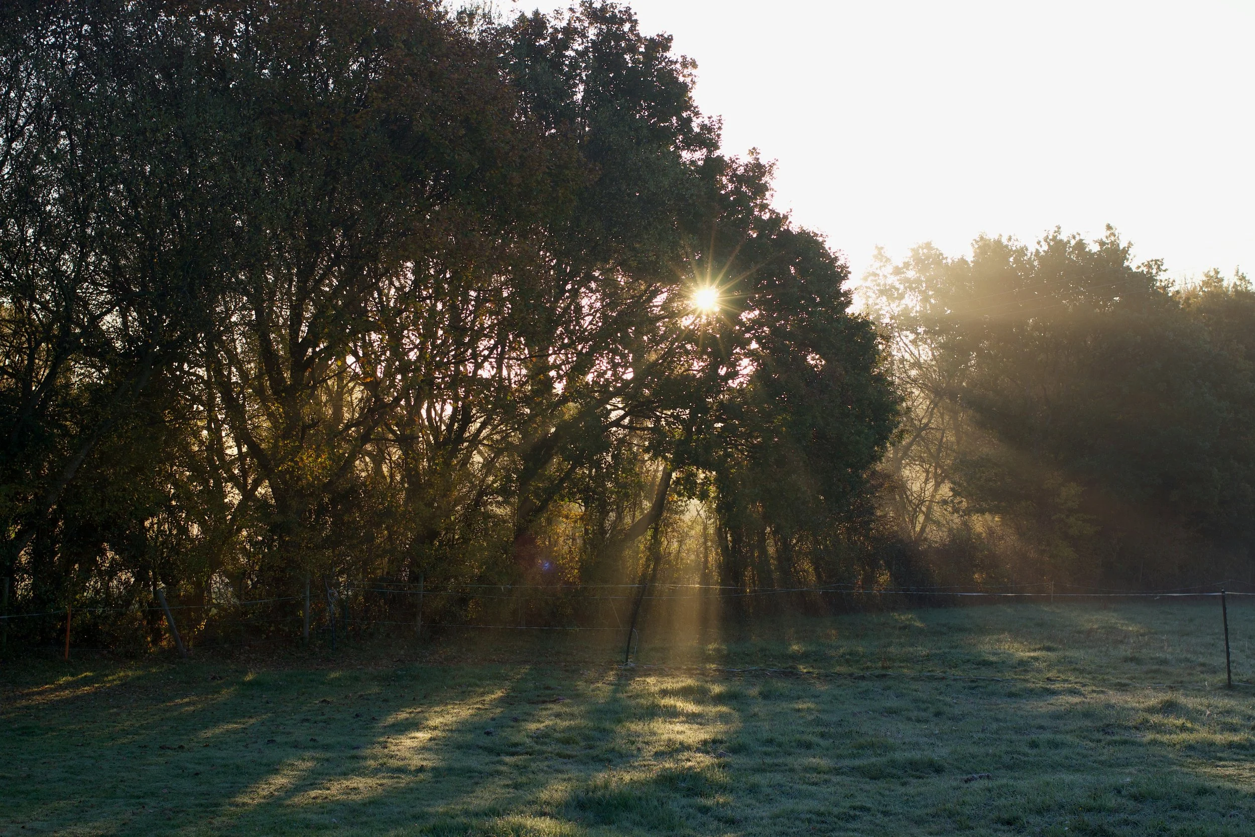 Episode 64 - Live Life with Death in Mind: Words of Wisdom from an End of Life Doula