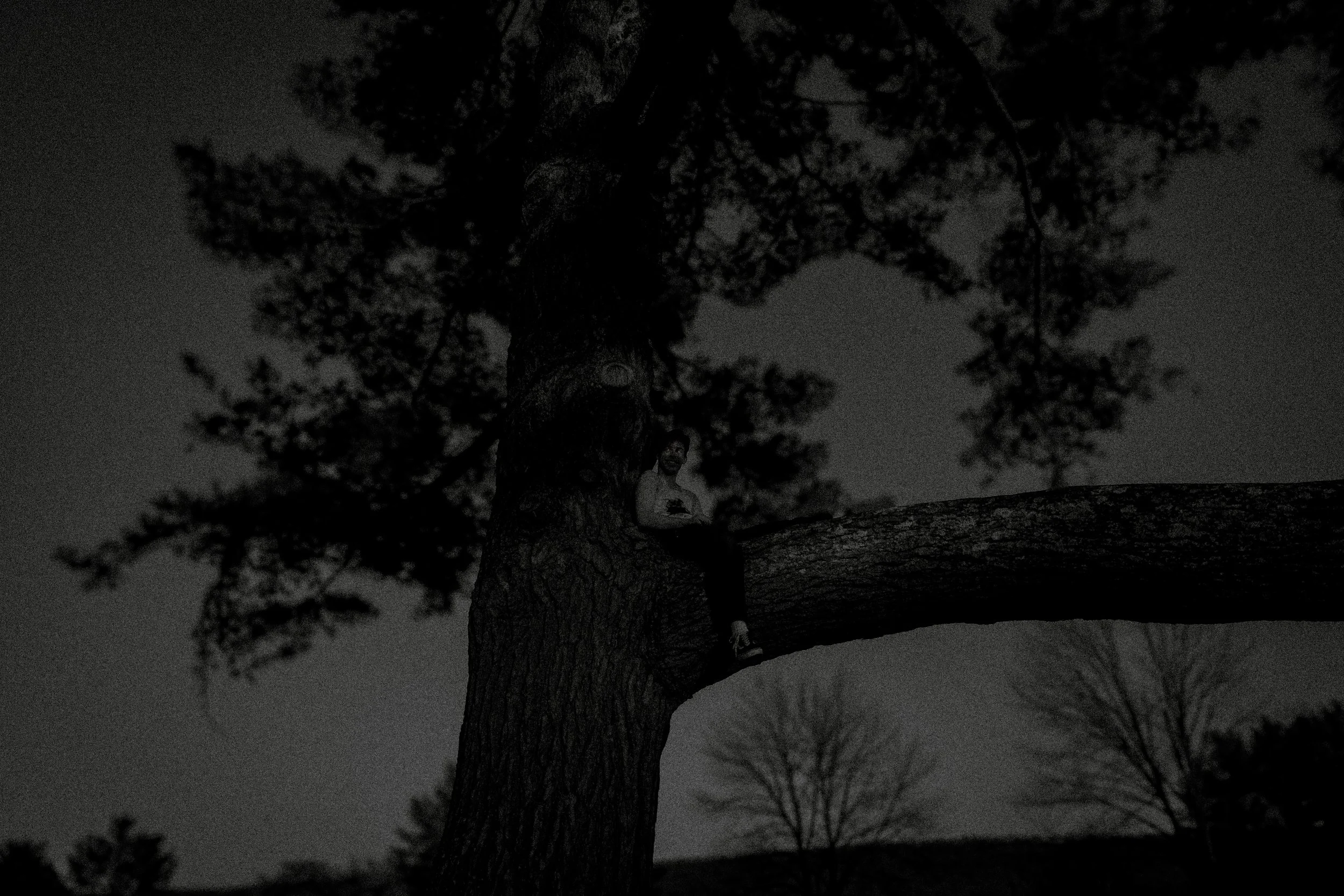 DSC07313.jpg