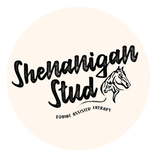 Stud Therapy Logo