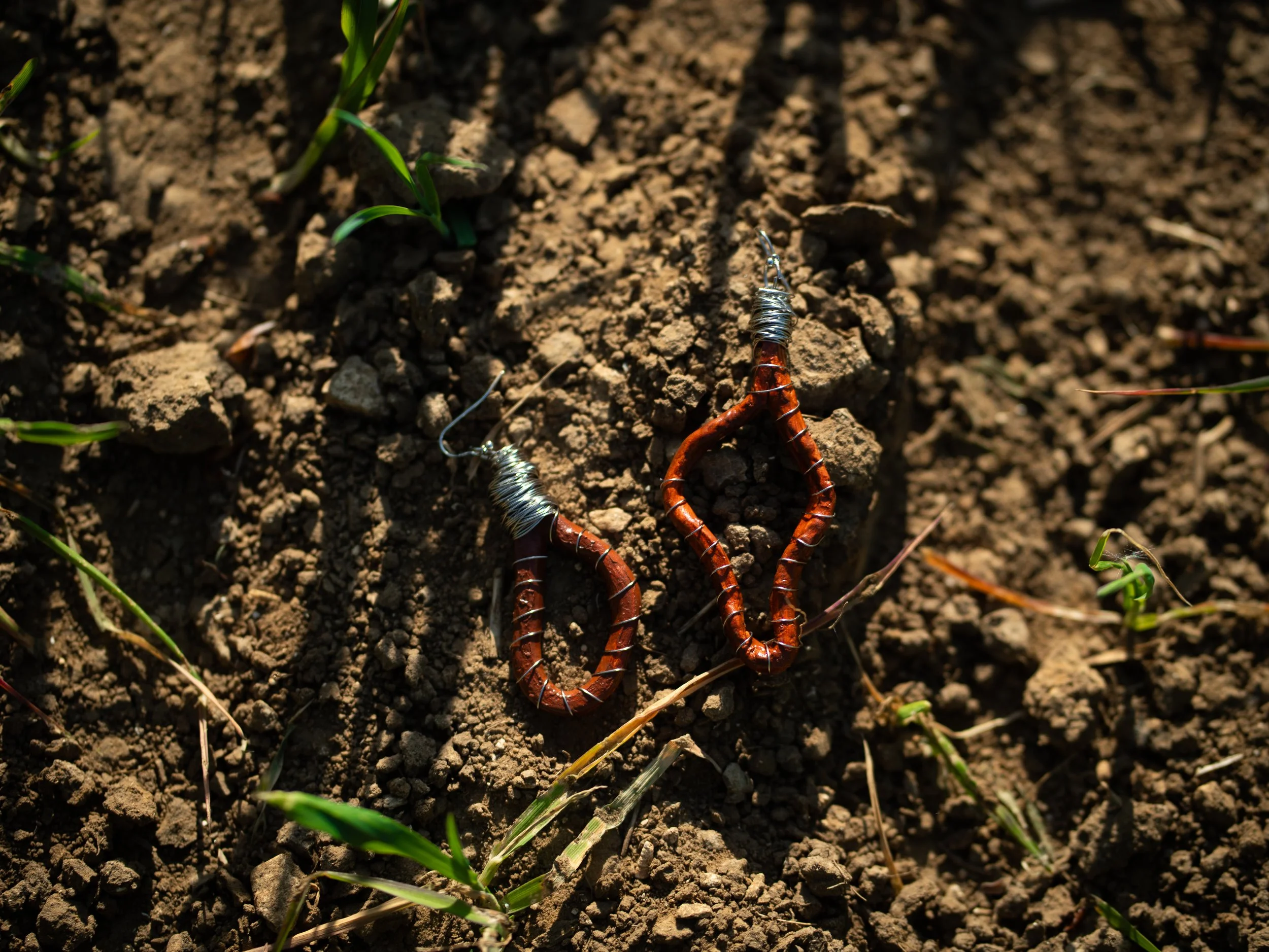 earth earrings