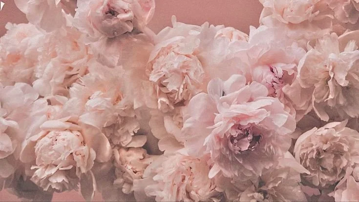 _ - 2026-04-24T135253.679.jpeg