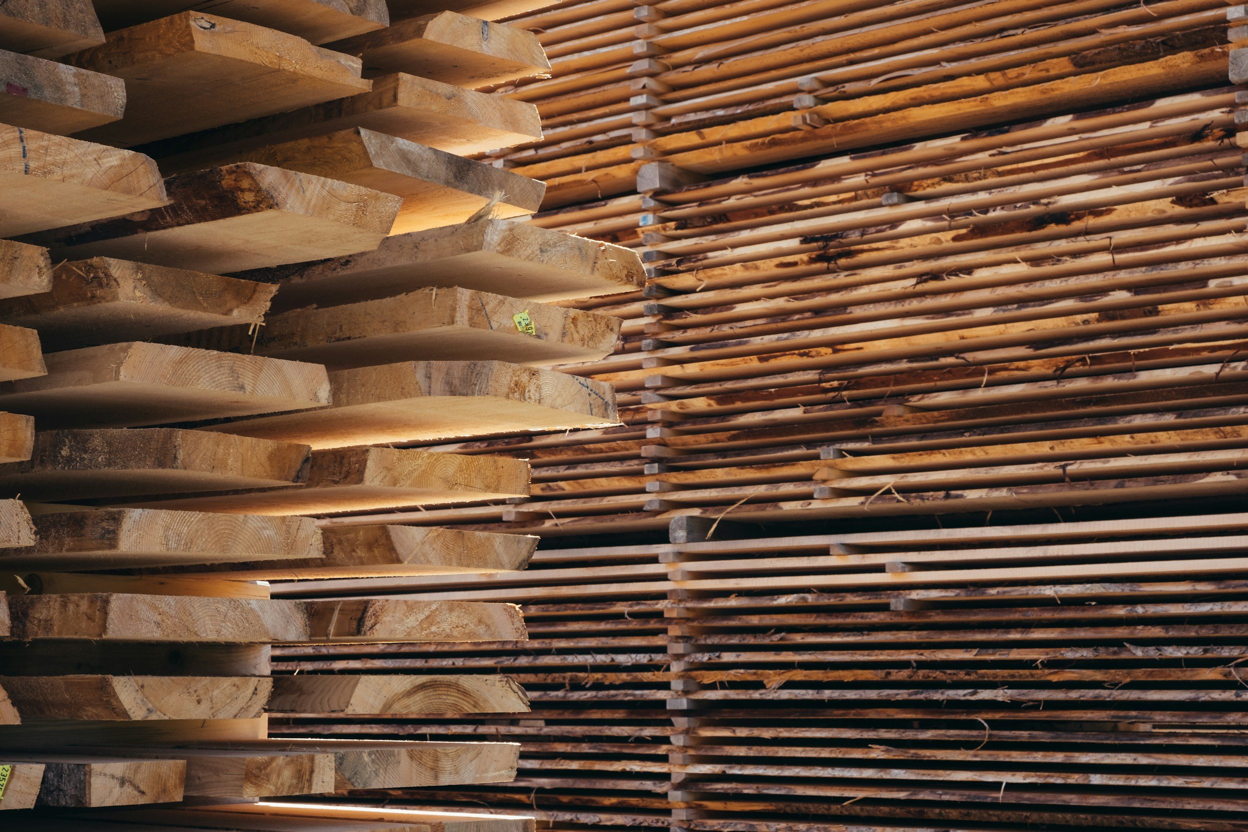 Woher kommt unser Holz? Regionales Schweizer Holz