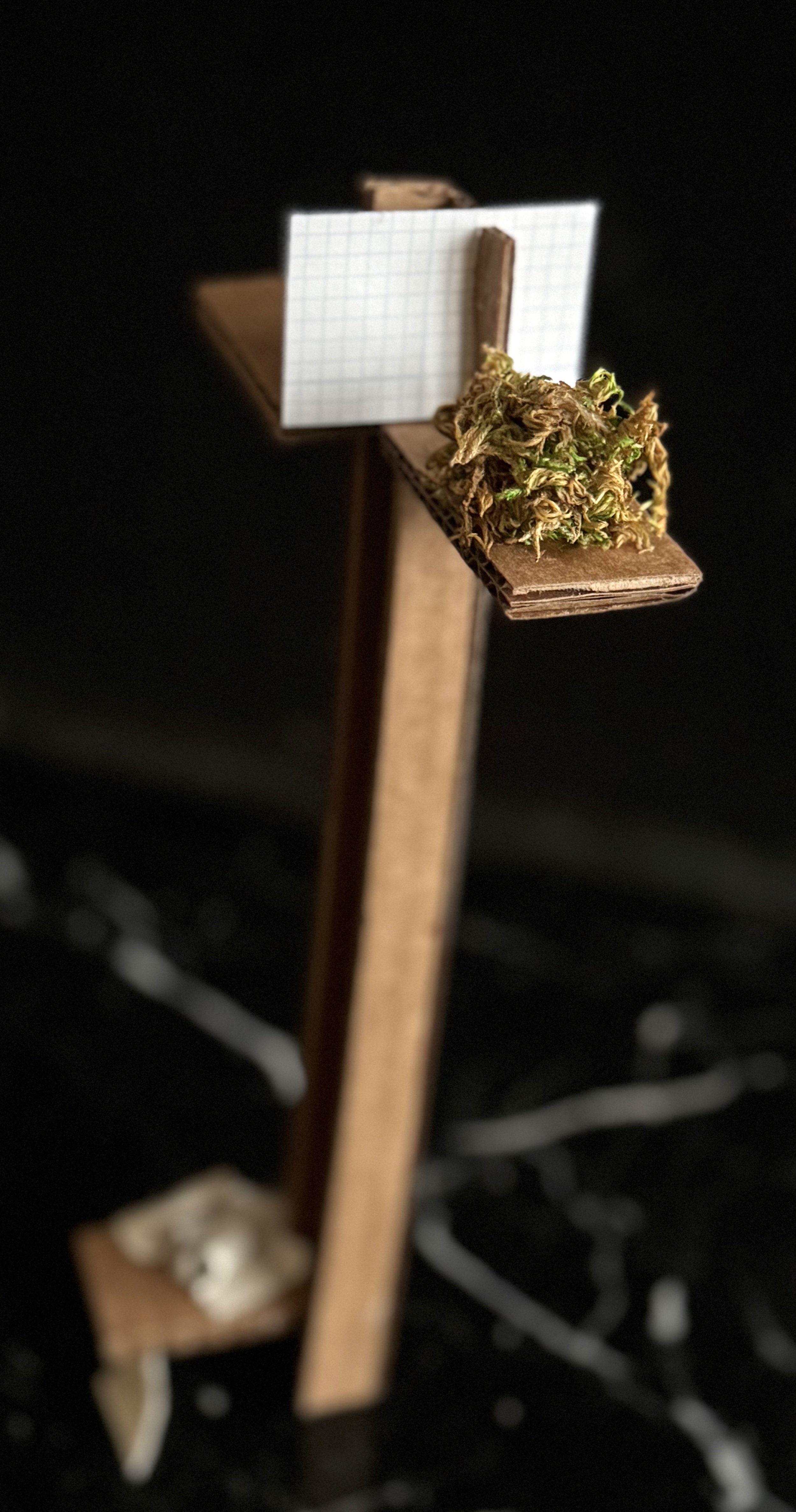 side_1.jpg