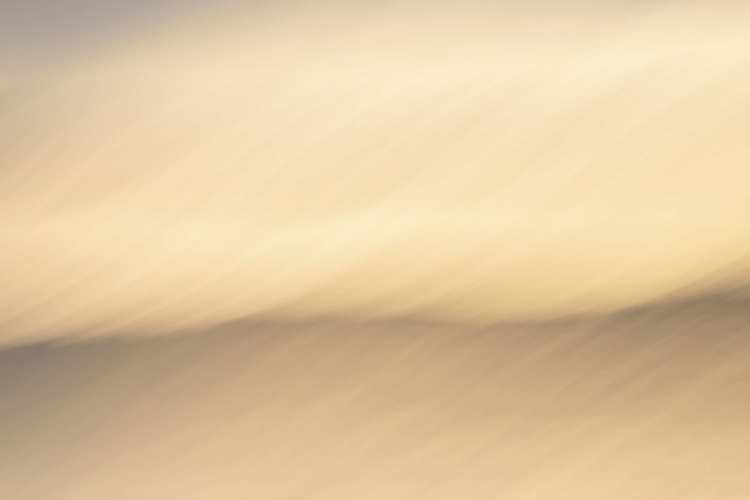 20230315-NLV_7479.jpg