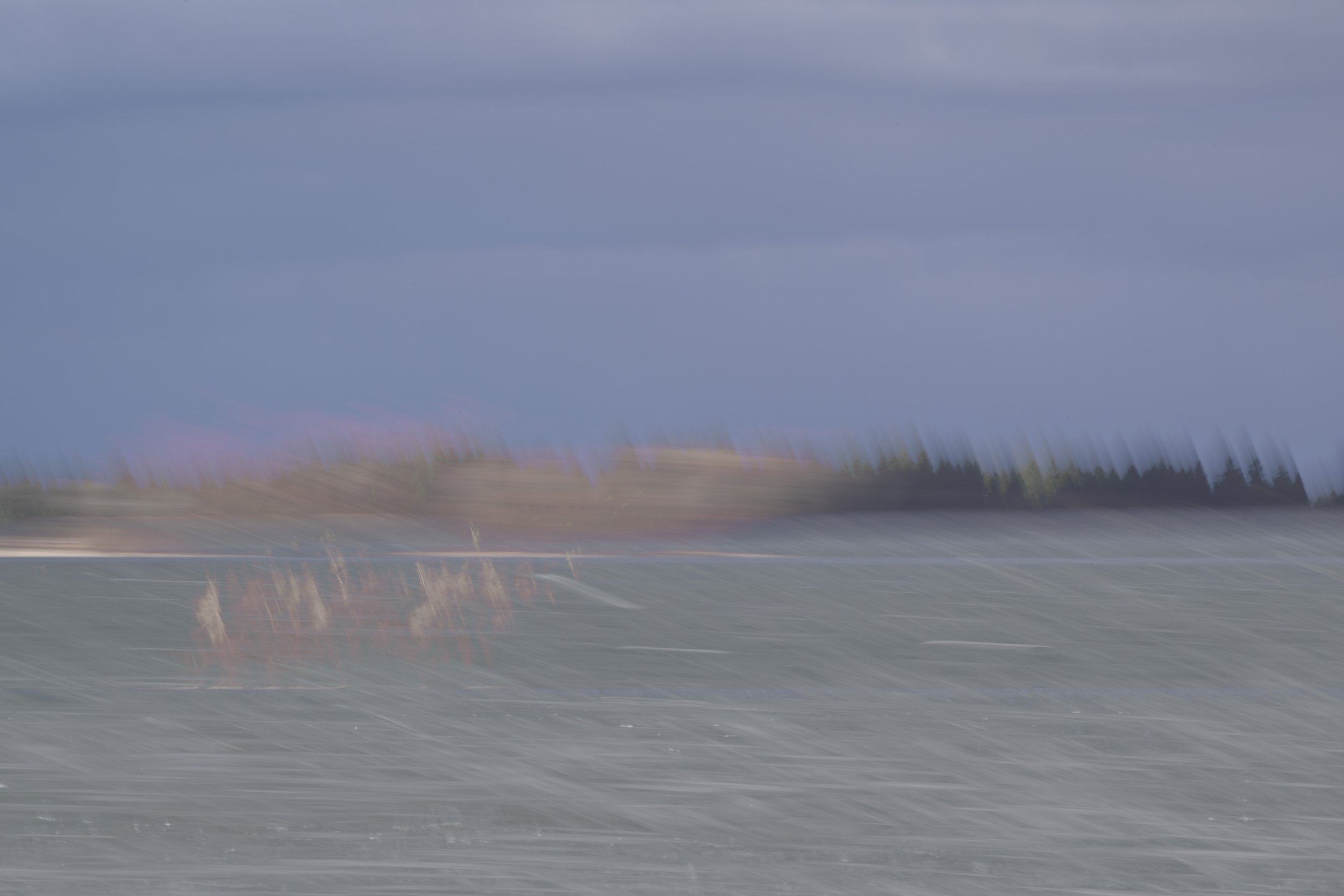 20230304-NLV_4931.jpg