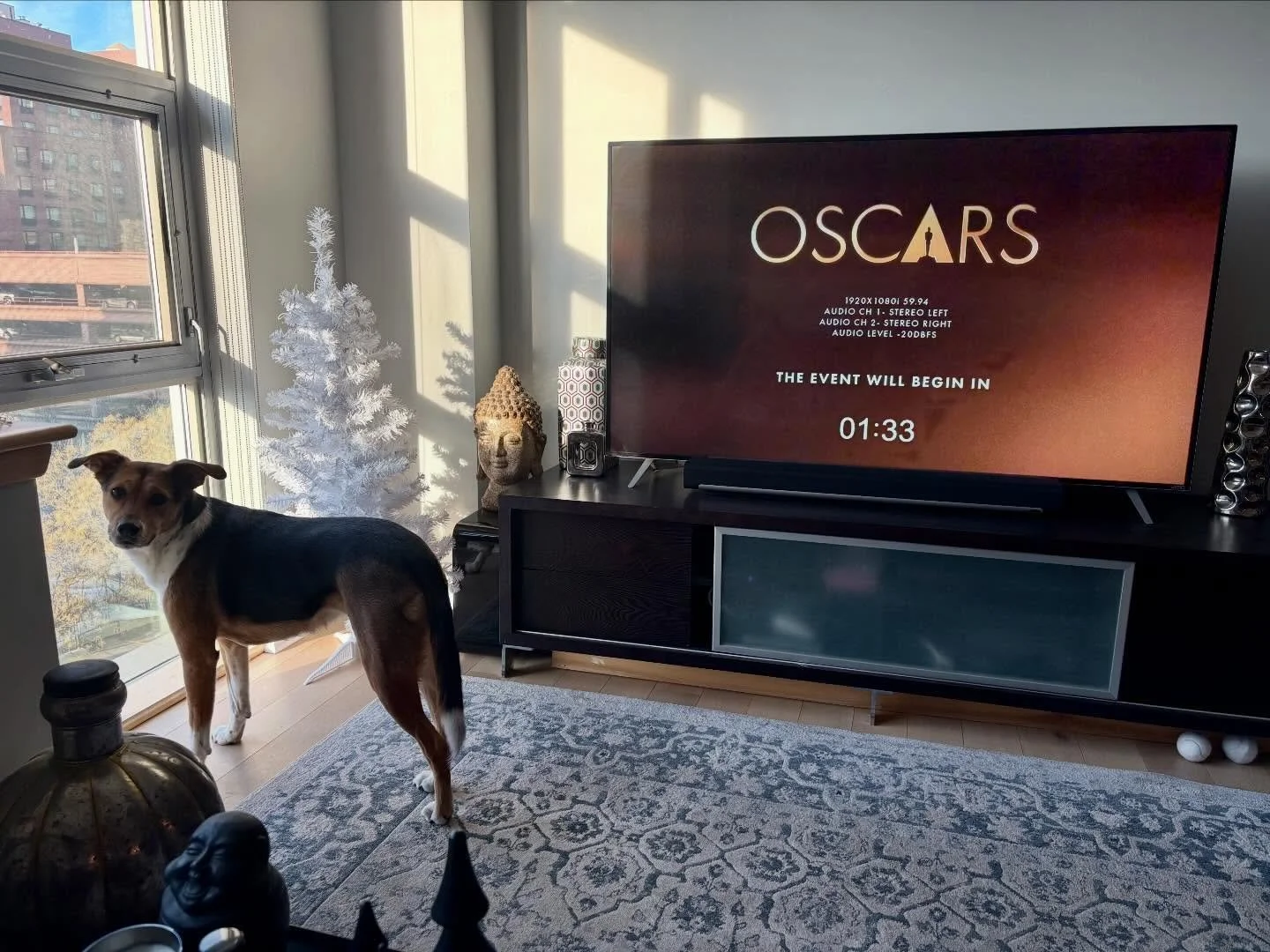 Happy Oscar Nomination Day to all those who celebrate!! Imagine my surprise to arrive at the Starbucks I&rsquo;ve gone to almost every OND for over 20 YEARS (!) to peruse the nominees to find it Gonzo. Closed. Fini! 😂😳 (yes I know it&rsquo;s a cuck