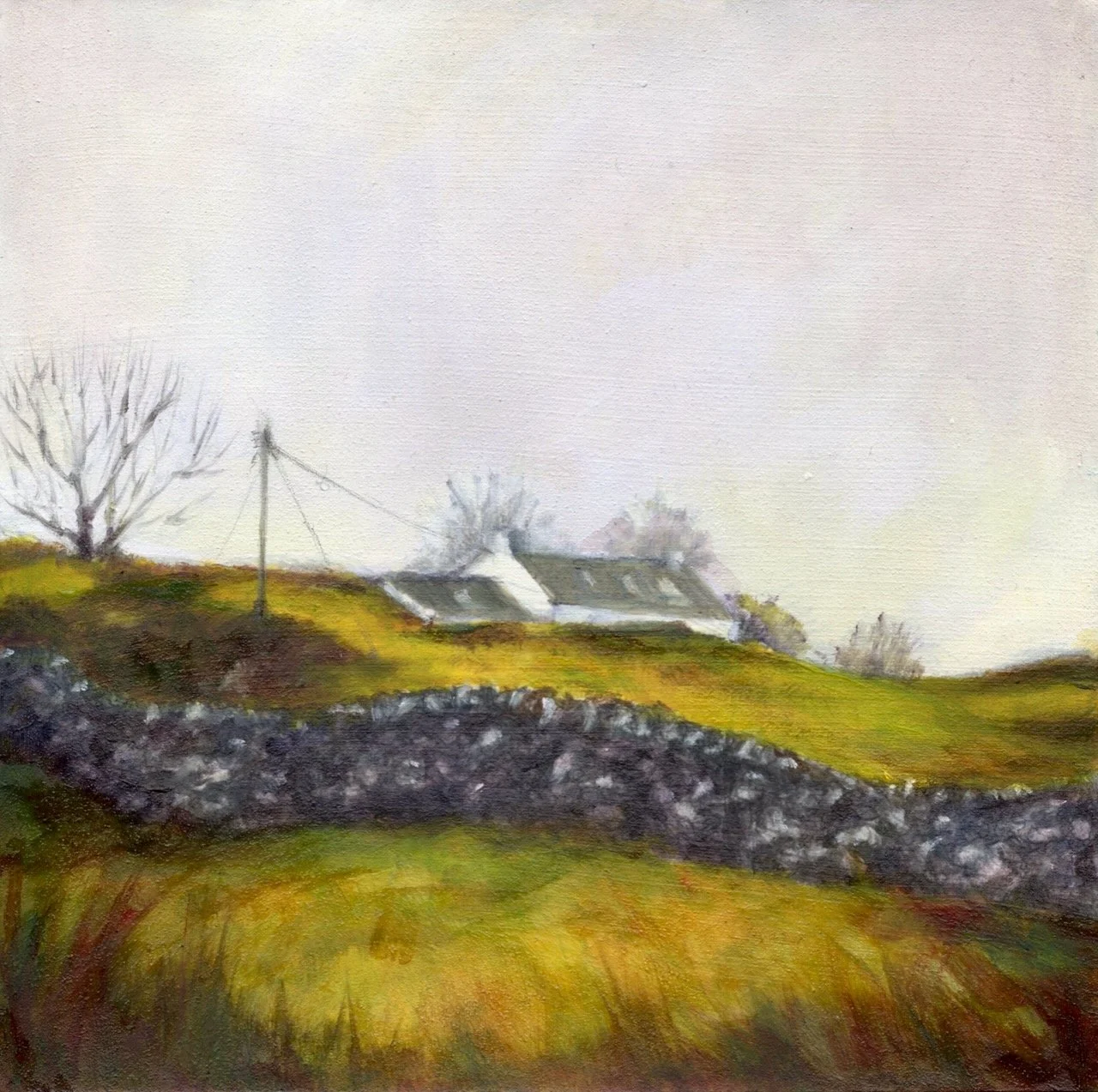 Stane Dyke - Galloway - SOLD