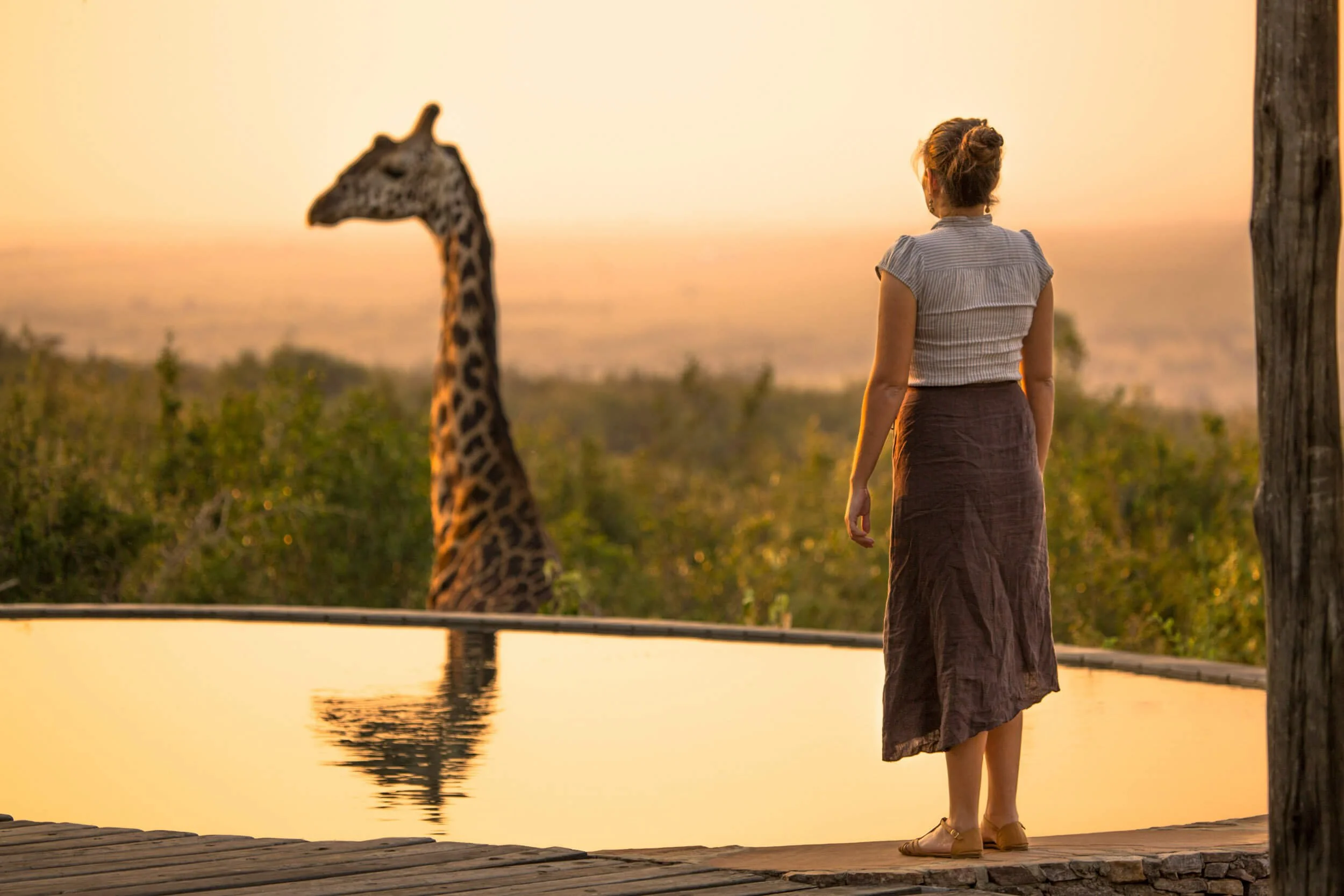 Woman standing by a pool at sunset with a giraffe visible in the background.