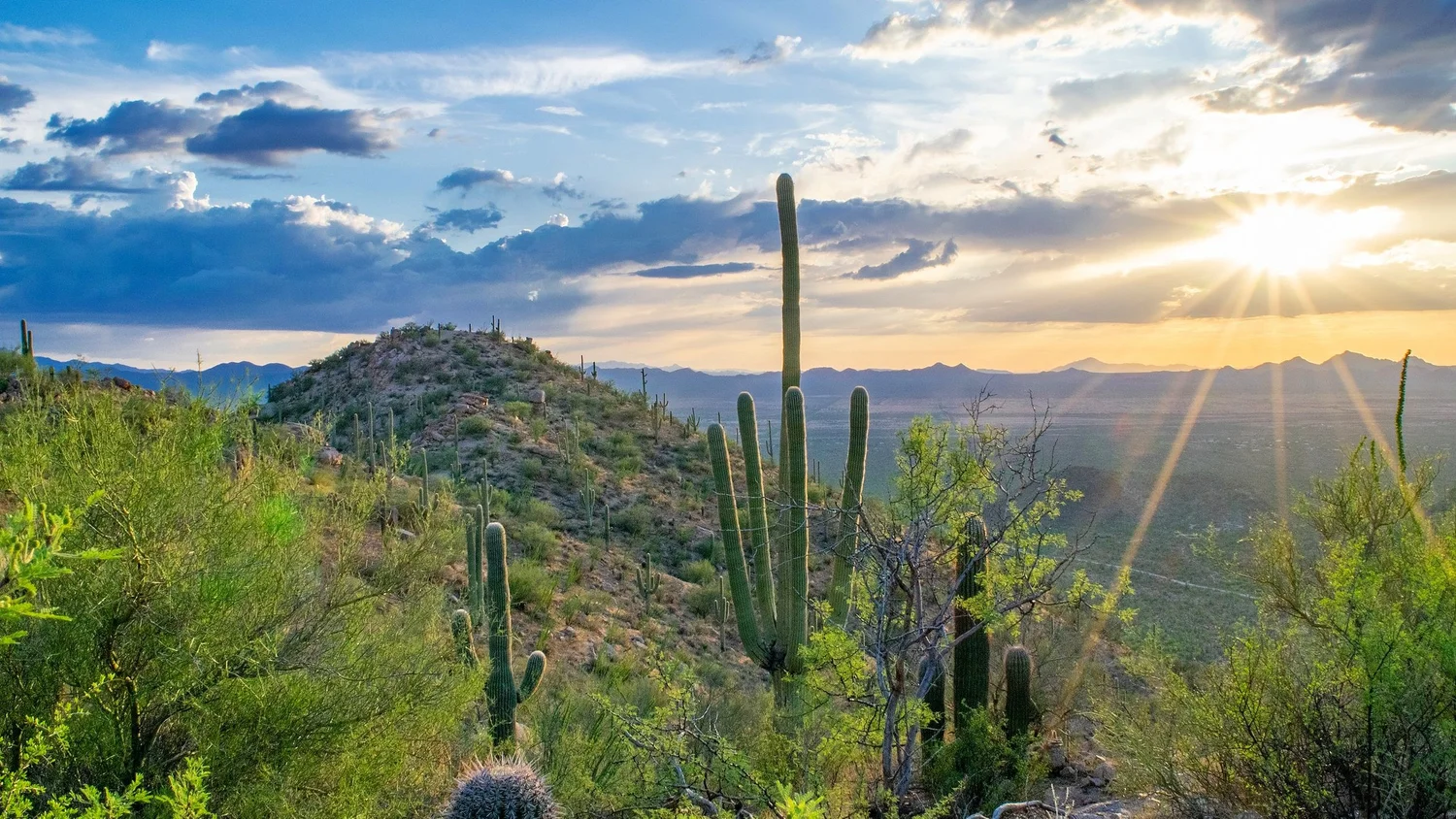 Downtown skyline and desert foothills in Tucson showcasing real estate market opportunities