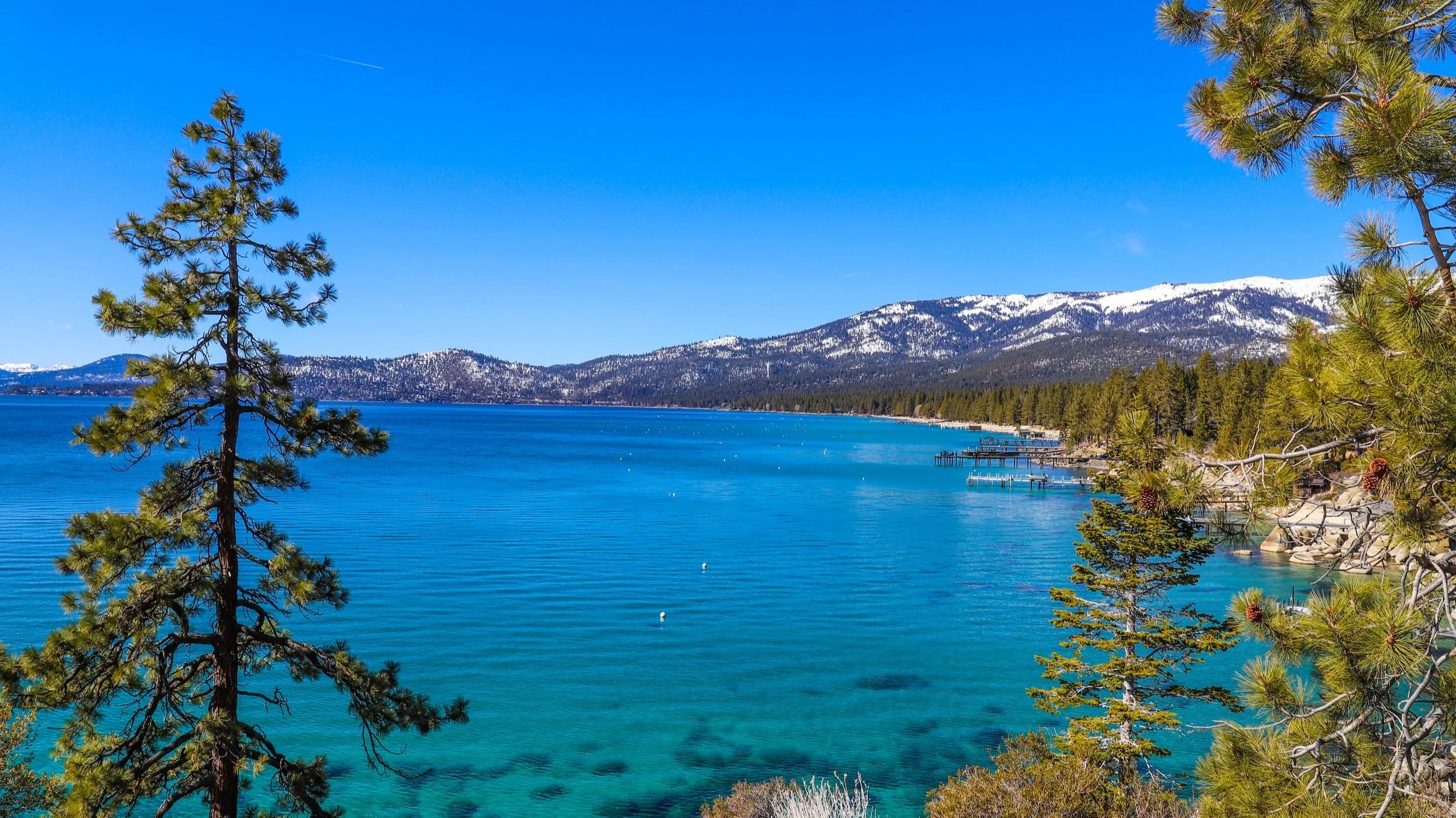 Scenic view of Lake Tahoe with clear blue water, surrounded by pine trees and mountains in the background, under a clear blue sky.