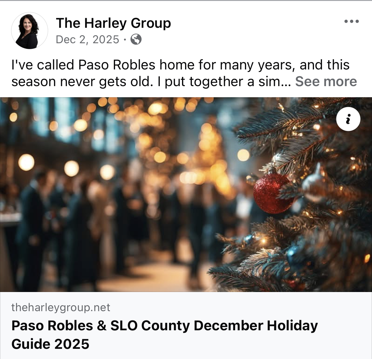 Blog Screenshot on Social Media - Holiday Guide