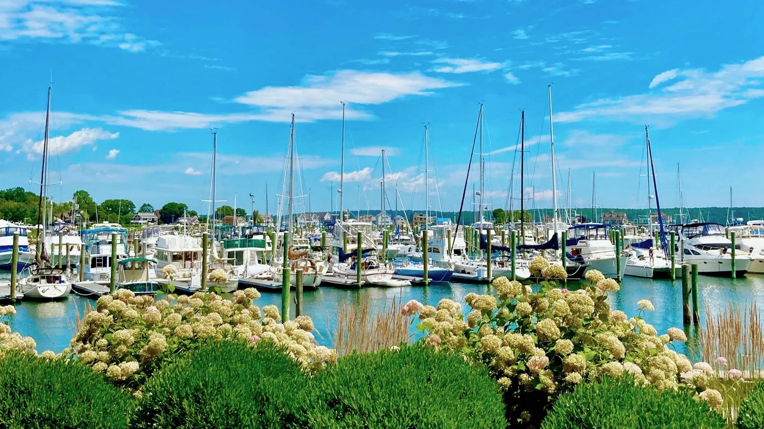 Waterfront skyline in Groton showcasing real estate market opportunities