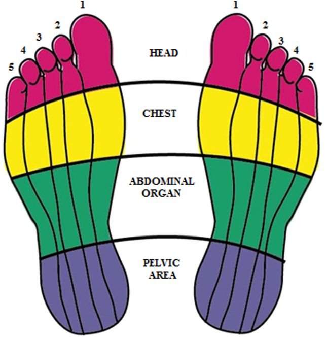 History of Reflexology
