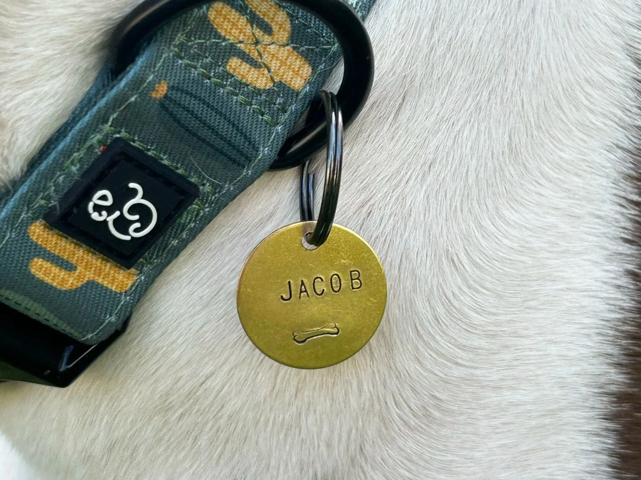 Brass Pet ID Tag