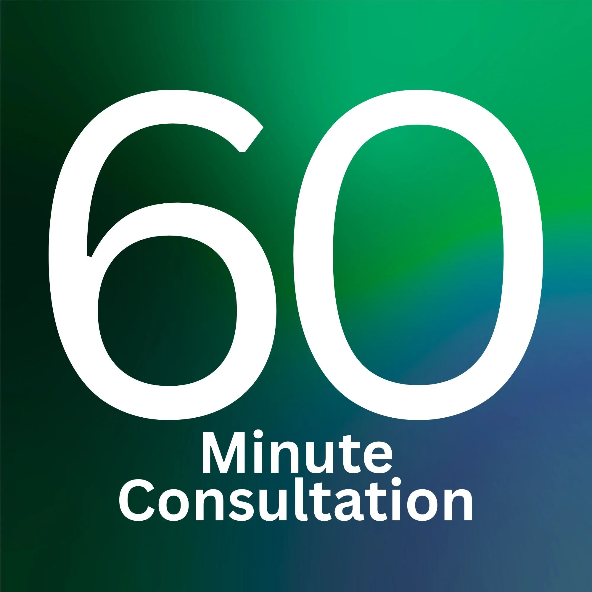 60 Minute Individualized Consultation