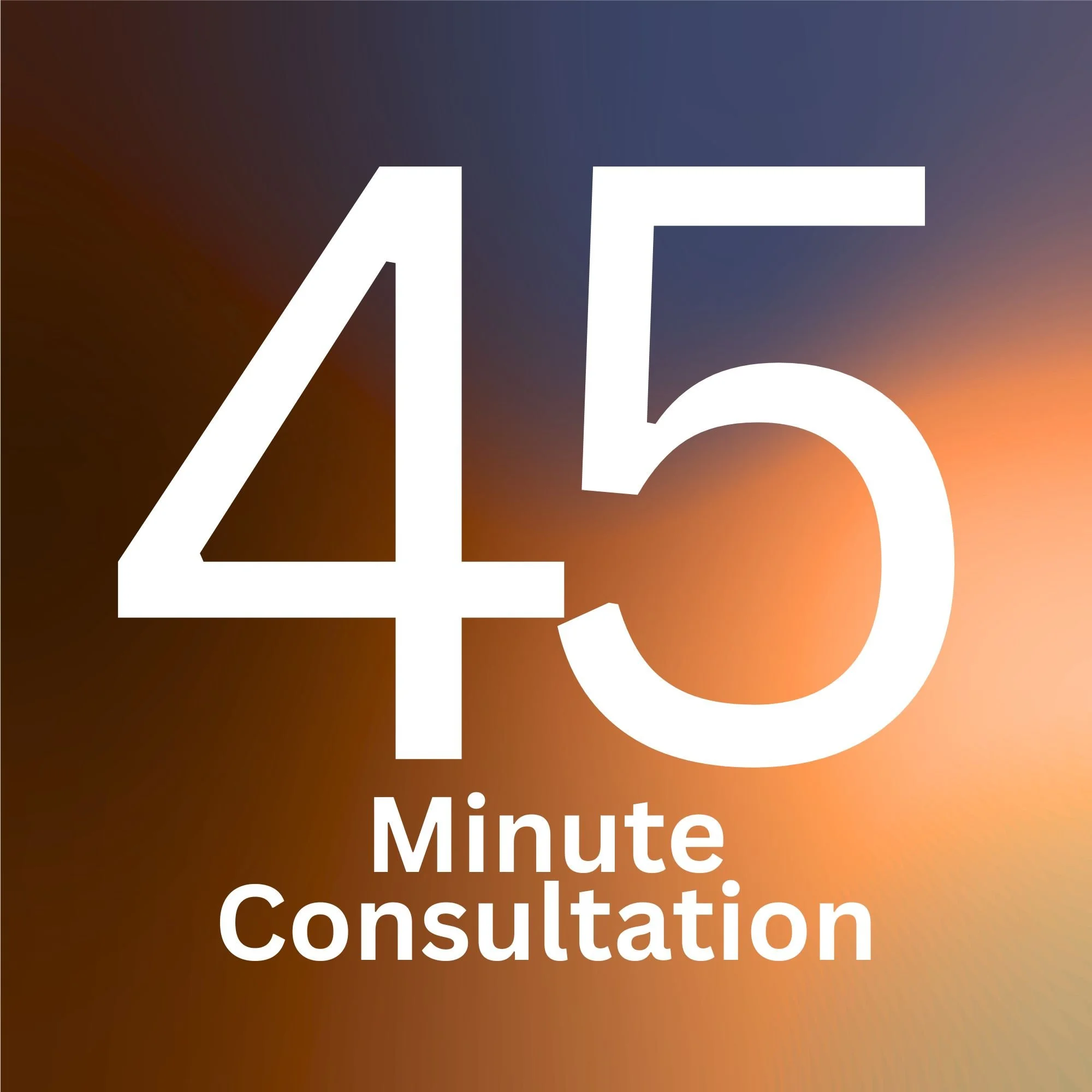 45 Minute Individualized Consultation