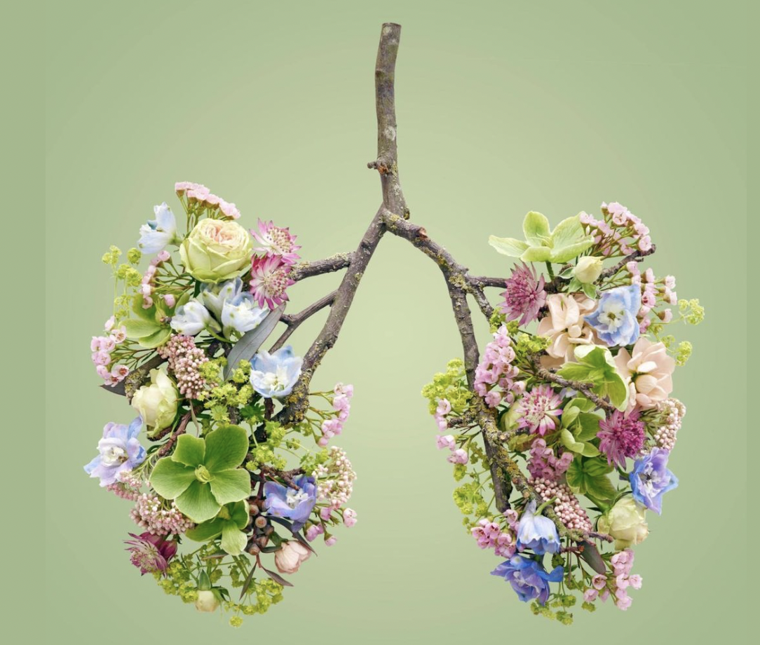 Need A Boost? Acupuncture Can Help Strengthen Your Immune System