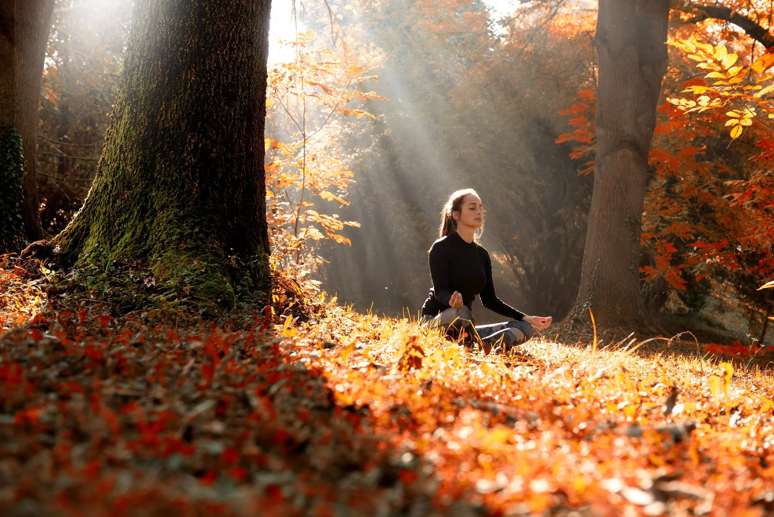 A woman practicing yoga in a peaceful, autumn forest with sunlight filtering through the trees.
