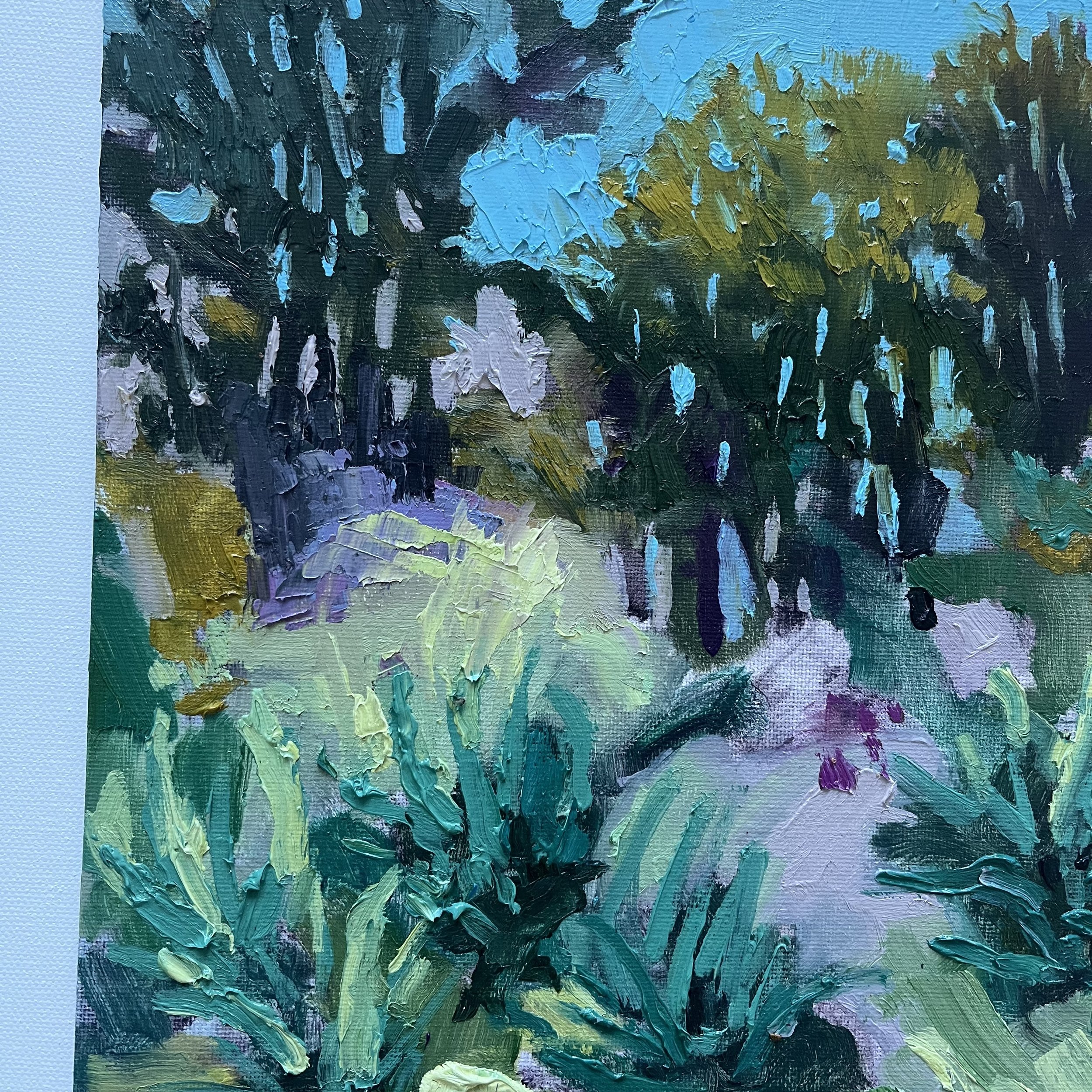 San Diego November