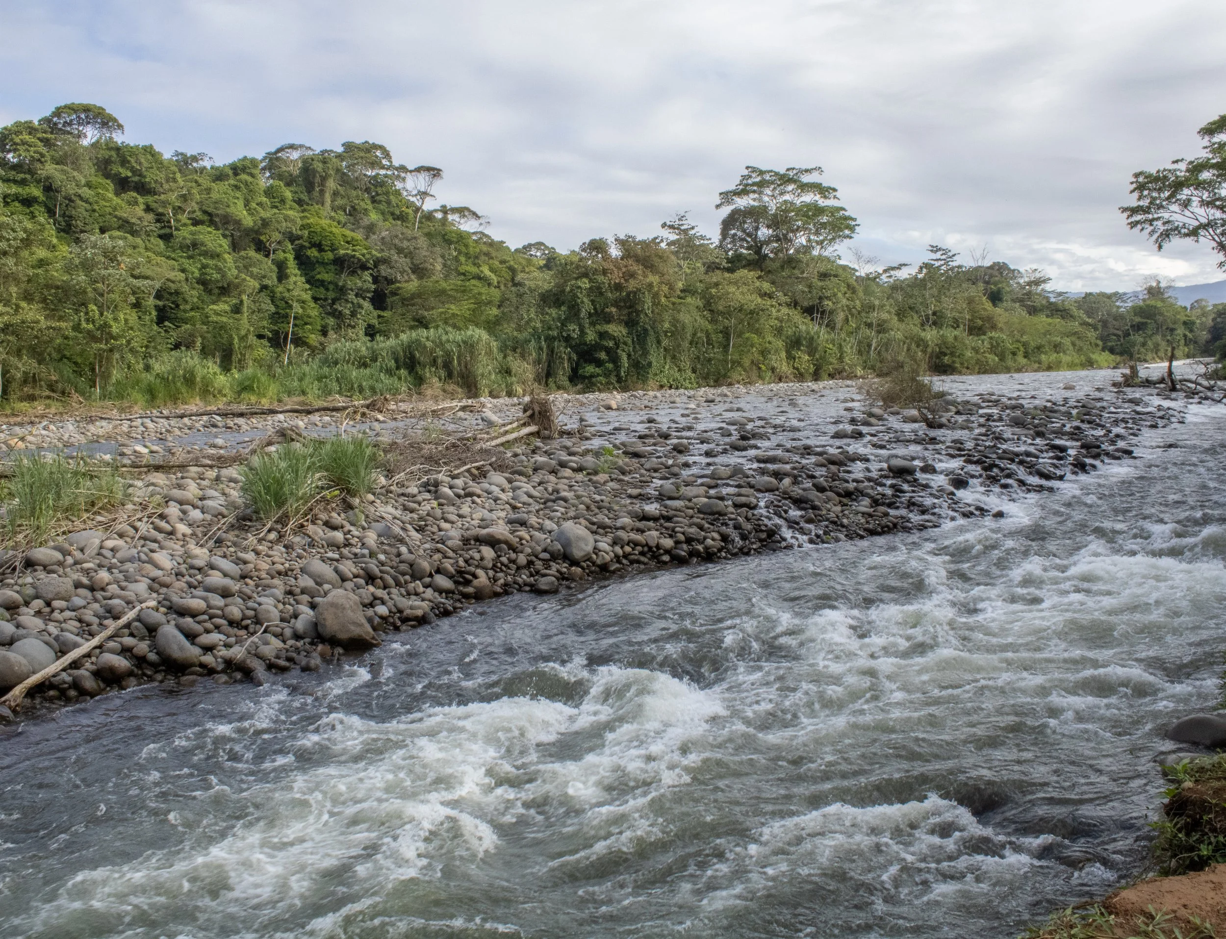 Rio Sarapiqui, Sarapiqui, Costa Rica.