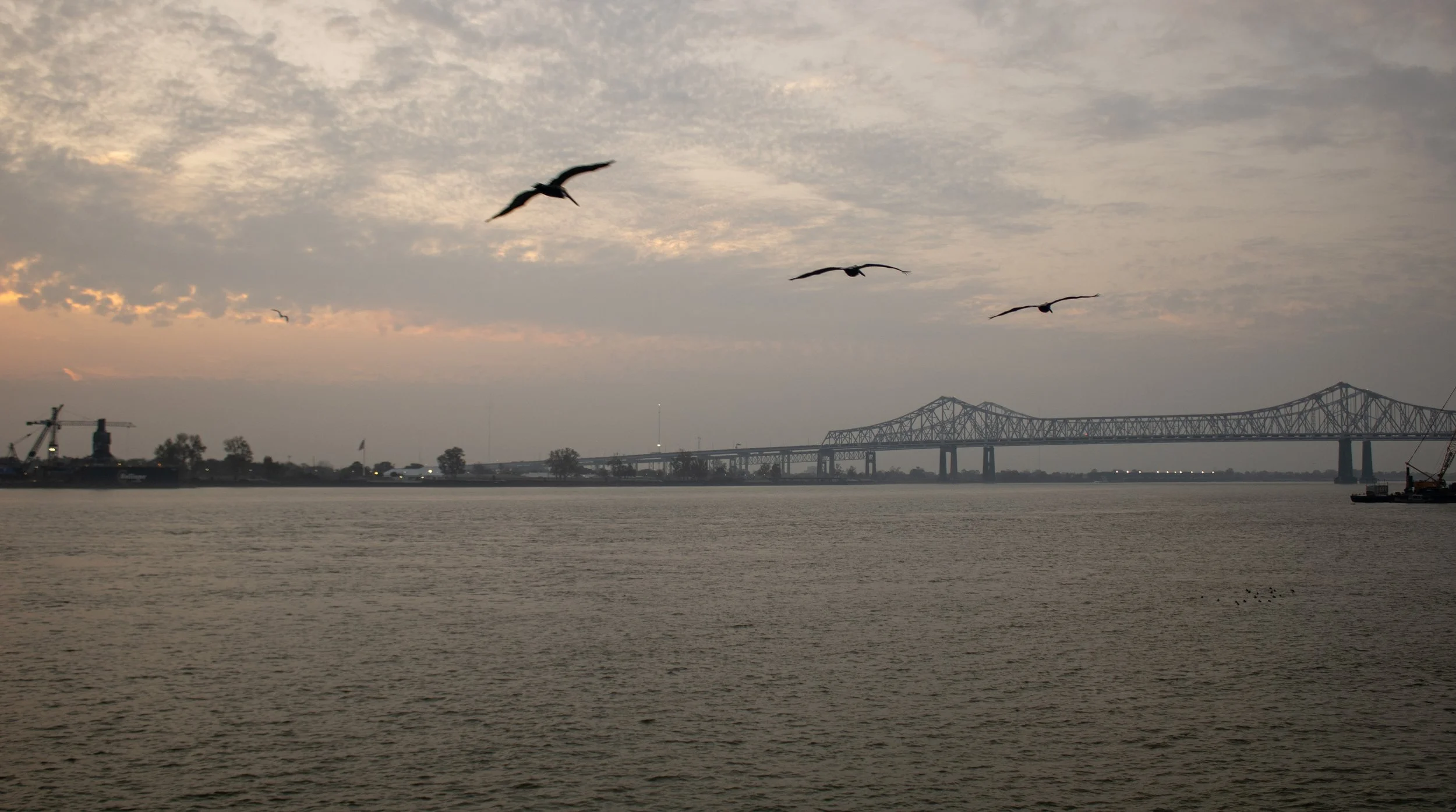 New Orleans, Louisiana. 