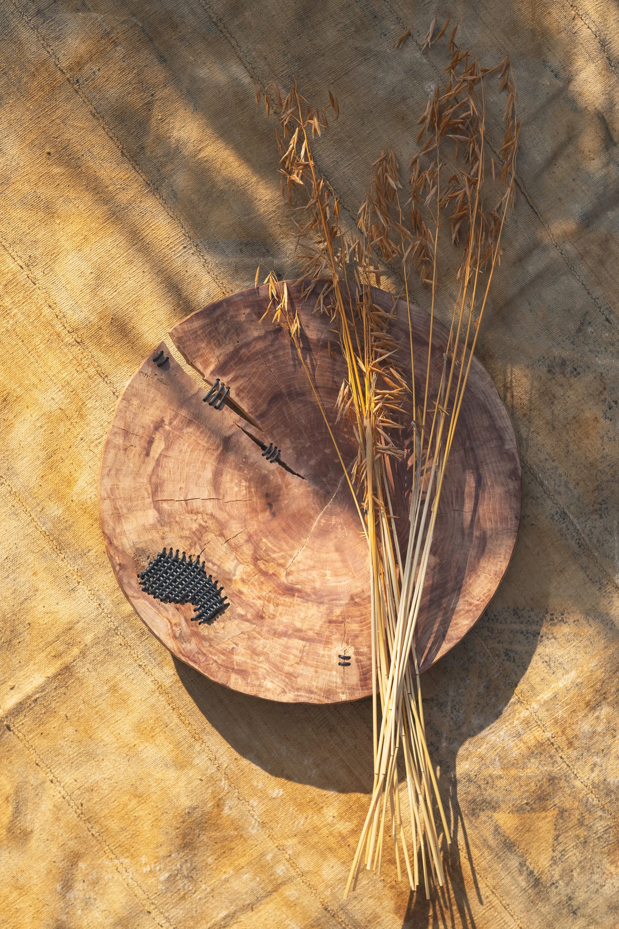 Glenn Dane Disc